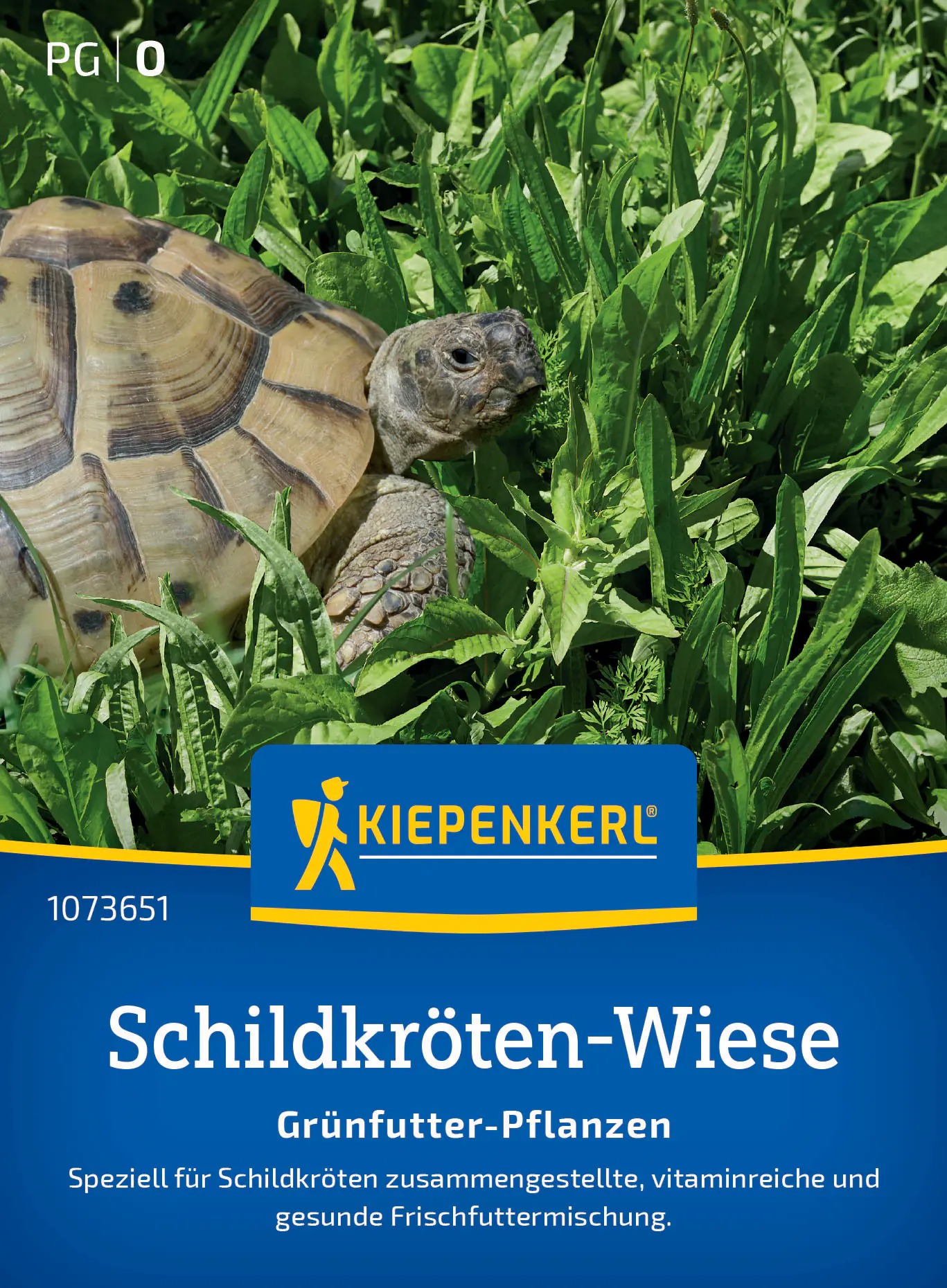 Kiepenkerl Saatgut Schildkröten-Mischung Grünfutter-Pflanzen für ca. 1-2 m²