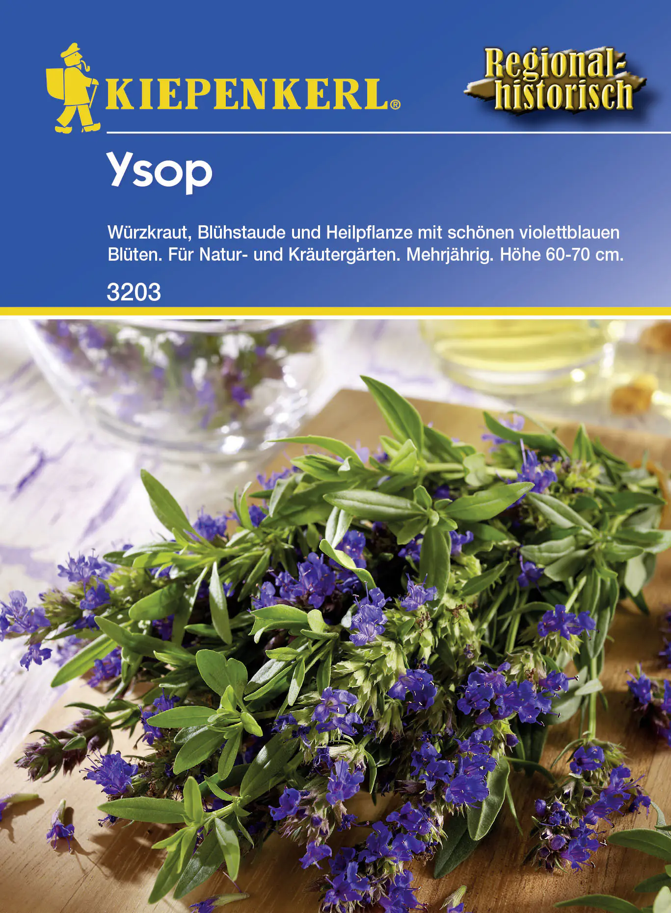 Kiepenkerl Ysop Hyssopus officinalis subsp. officinalis, Inhalt: ca. 80 Pflanzen