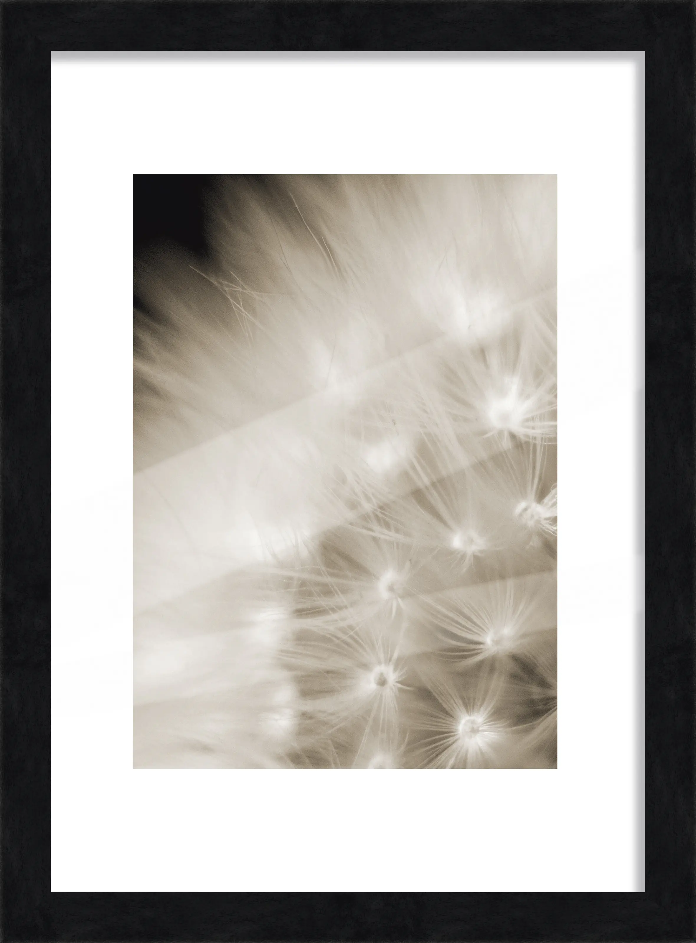 Bilderrahmen Holz Luzern schwarz 21 x 29,7 cm