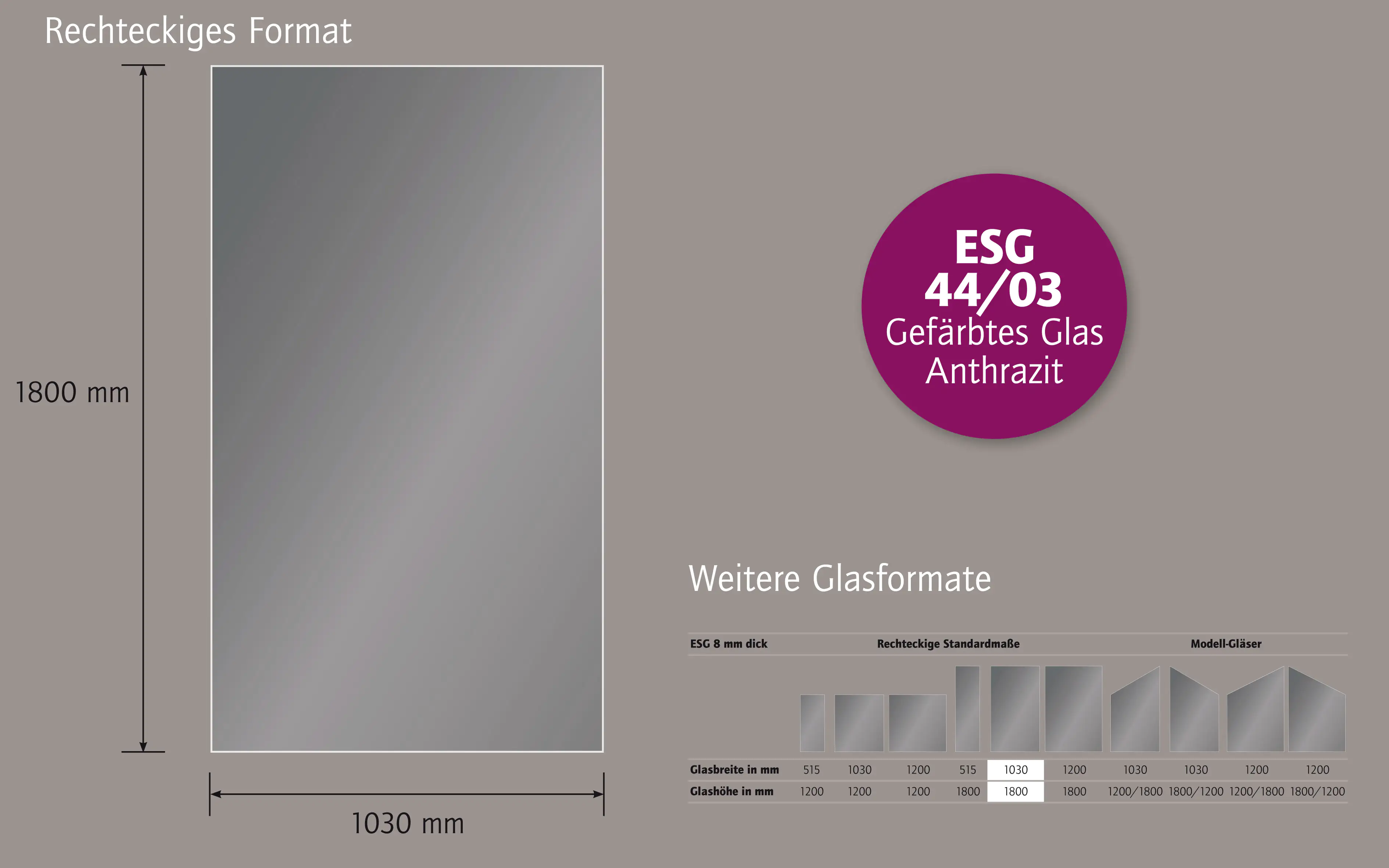 Ambiente Glaszaun Dekor 44/03 103 x 180 cm gehärtetes 8 mm Glas Ambiente Glaszaun Dekor 44/03 103 x 180 cm gehärtetes 8 mm Glas