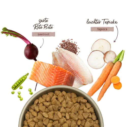 Bosch Menue Adult Hundetrockenfutter Lachs 12 kg