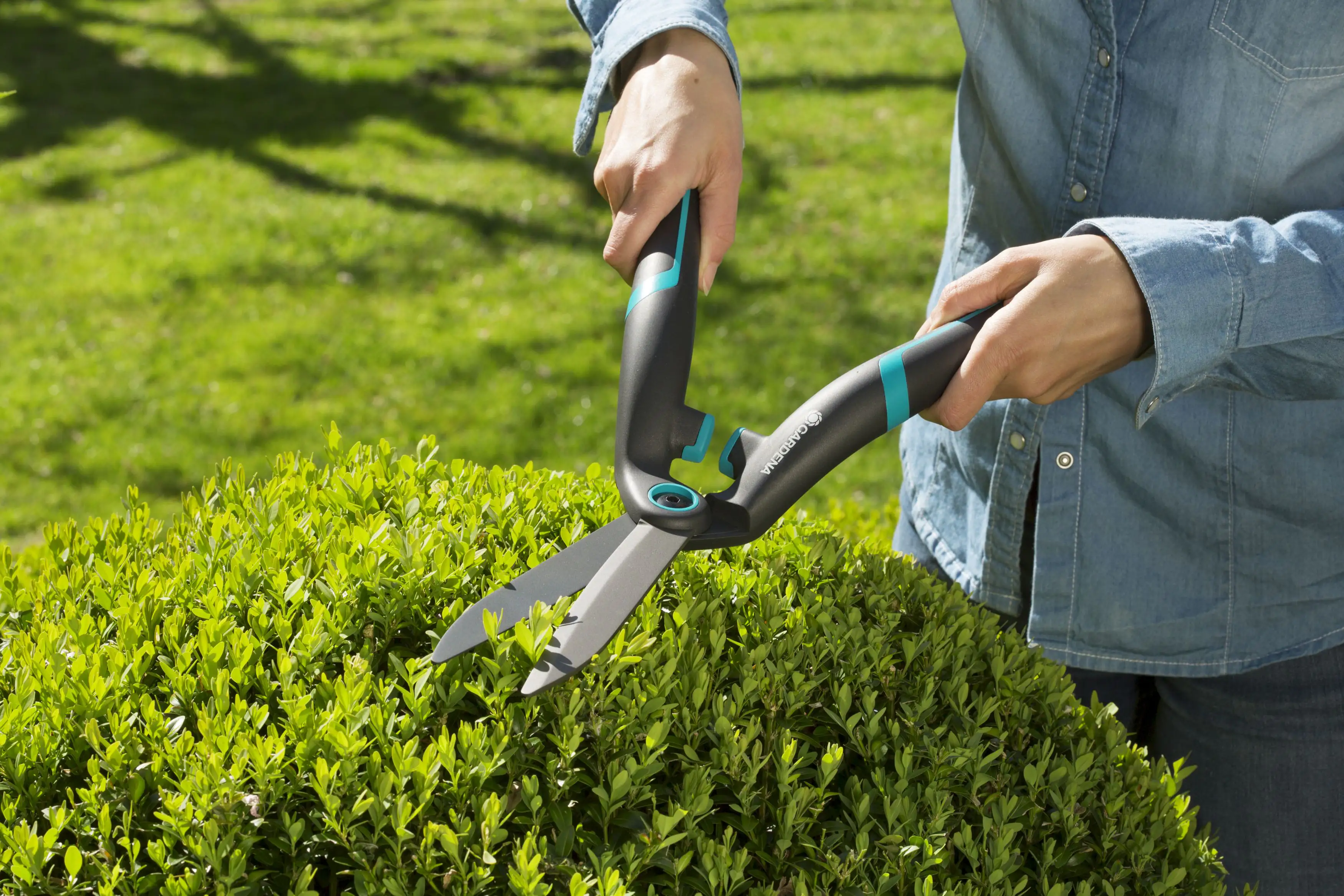 4078500049115_2 Gardena Heckenschere PrecisionCut