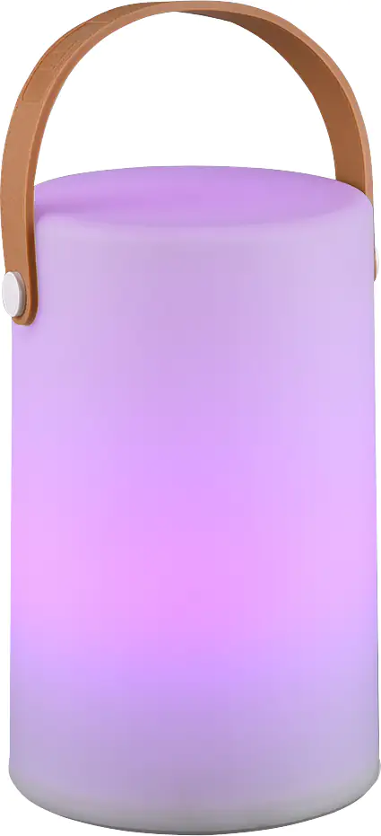 Reality Leuchten LED Akku-Tischleuchte Aruba Akku USB-Ladefunktion