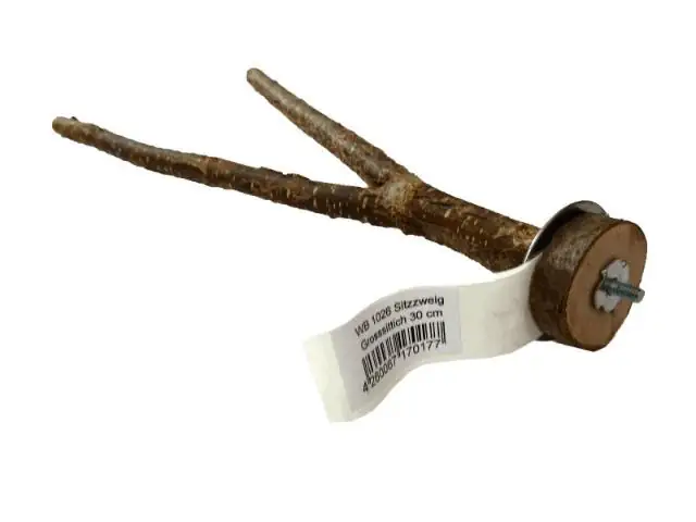 Ollesch Vogel Sitzzweig Holz 30 cm natur