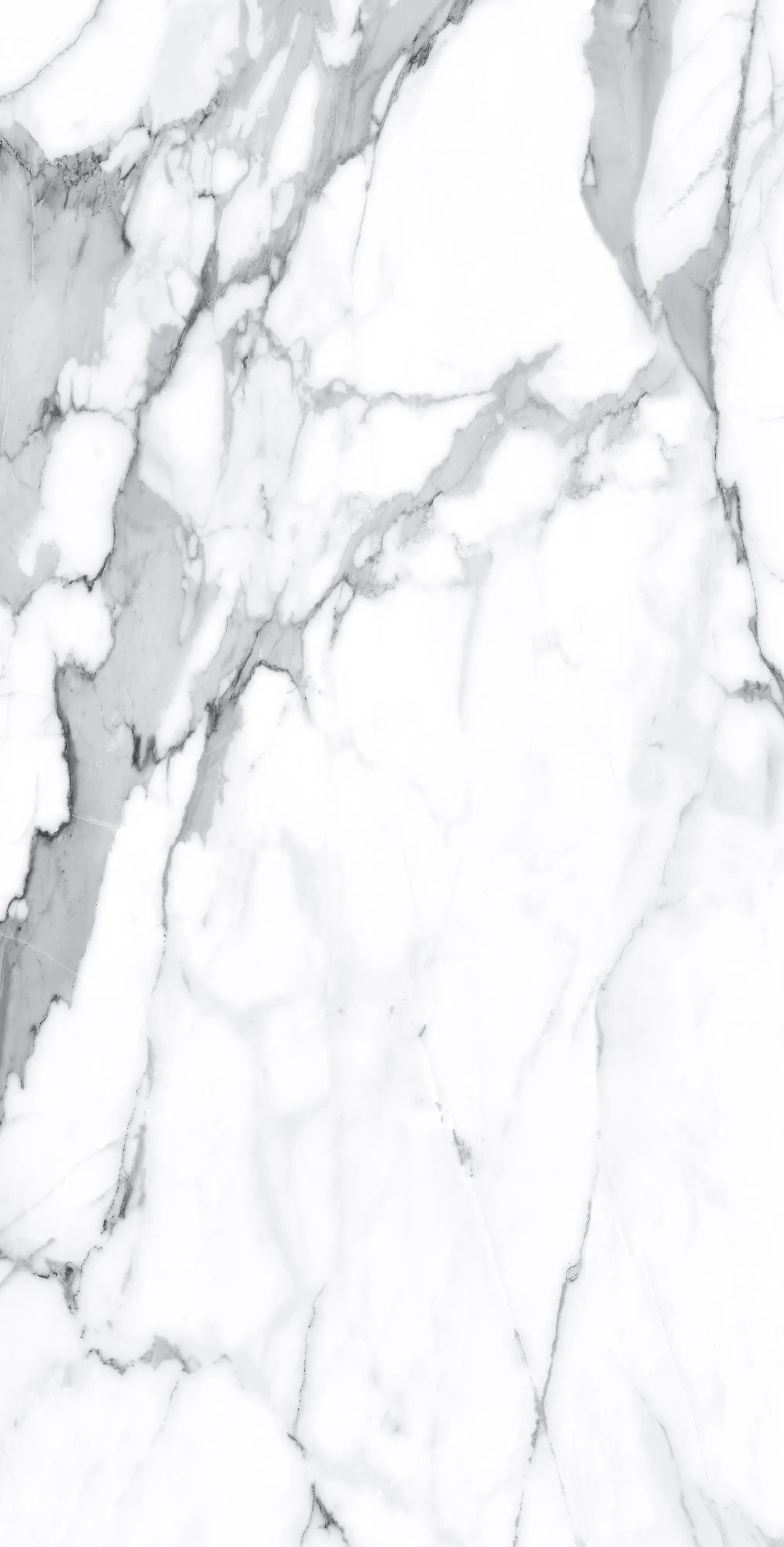 Bodenfliese Feinsteinzeug Visage Grey Plus 60 x 120 cm weiß