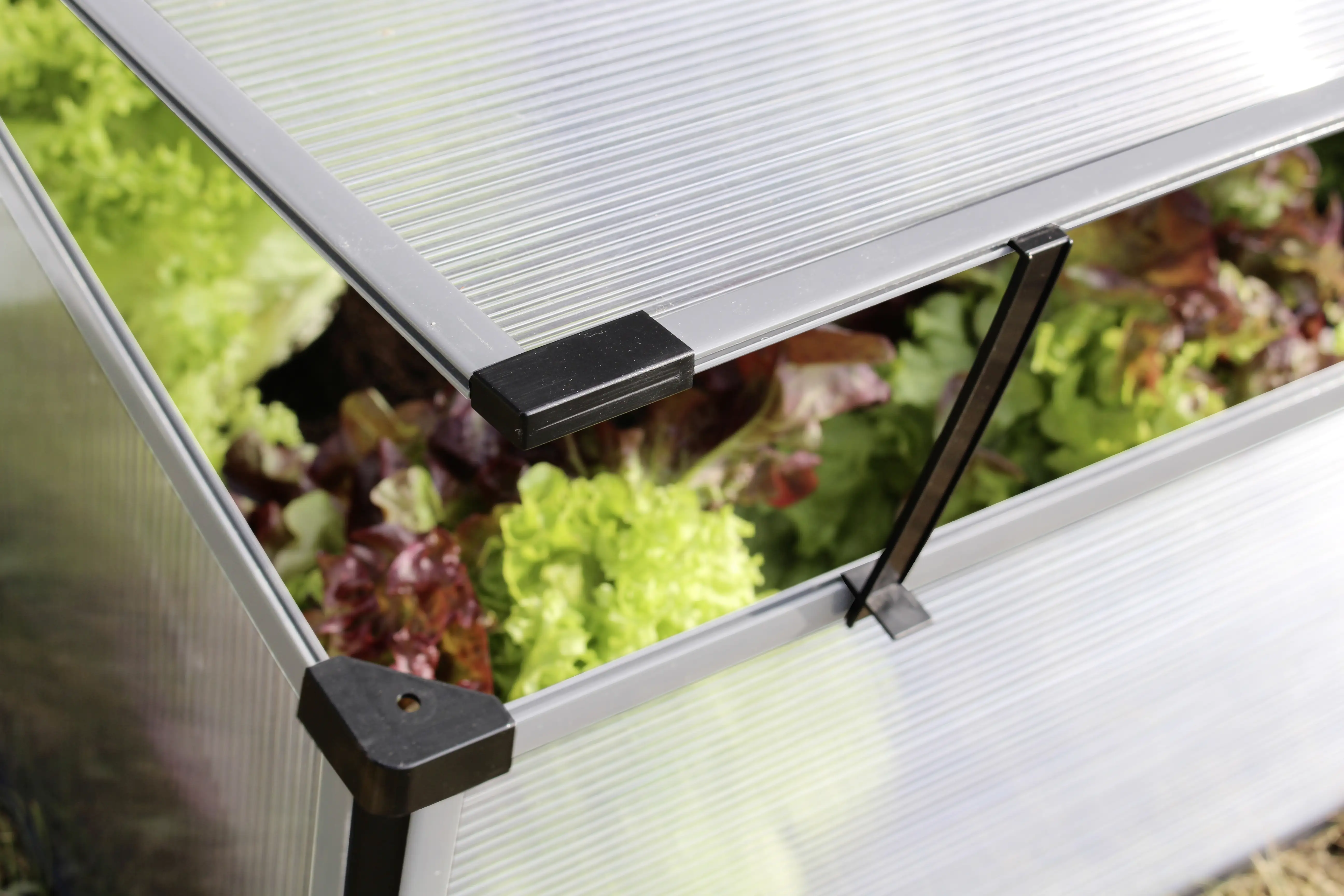 Vitavia Frühbeet Levana 2 55 x 95 cm kiesel Vitavia Frühbeet Levana 2 55 x 95 cm kiesel