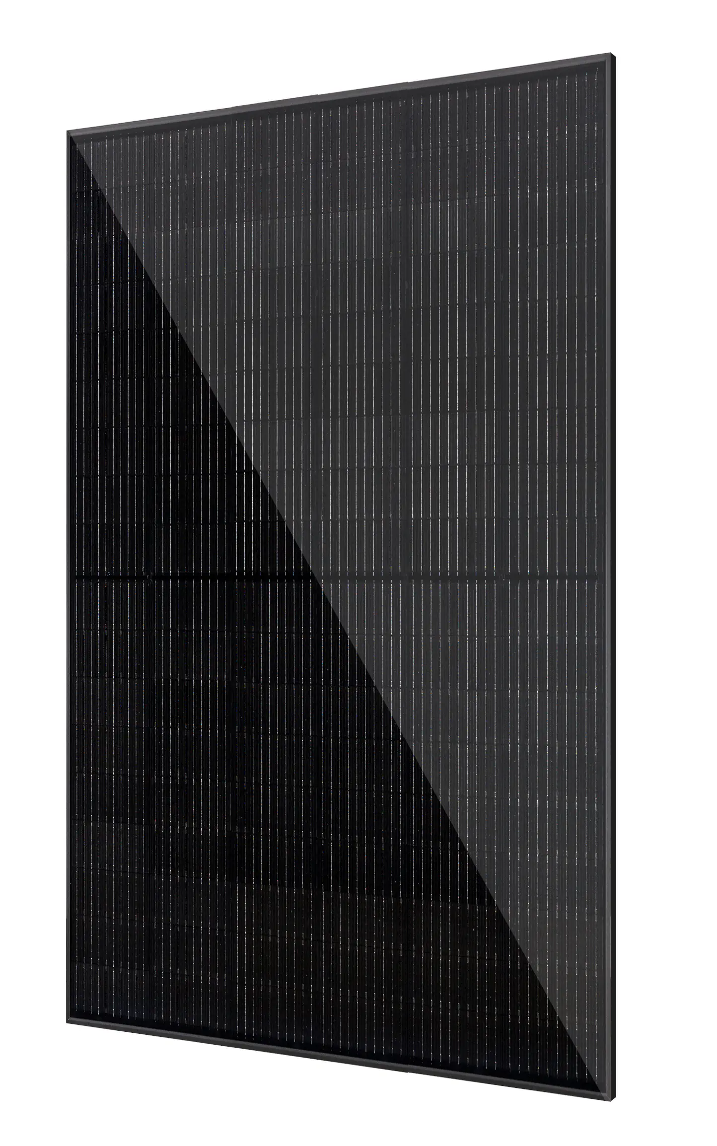 Vale Solarmodule 2 x 450 Watt bifazial Glas-Glas Full black Vale Solarmodule 2 x 450 Watt bifazial Glas-Glas Full black