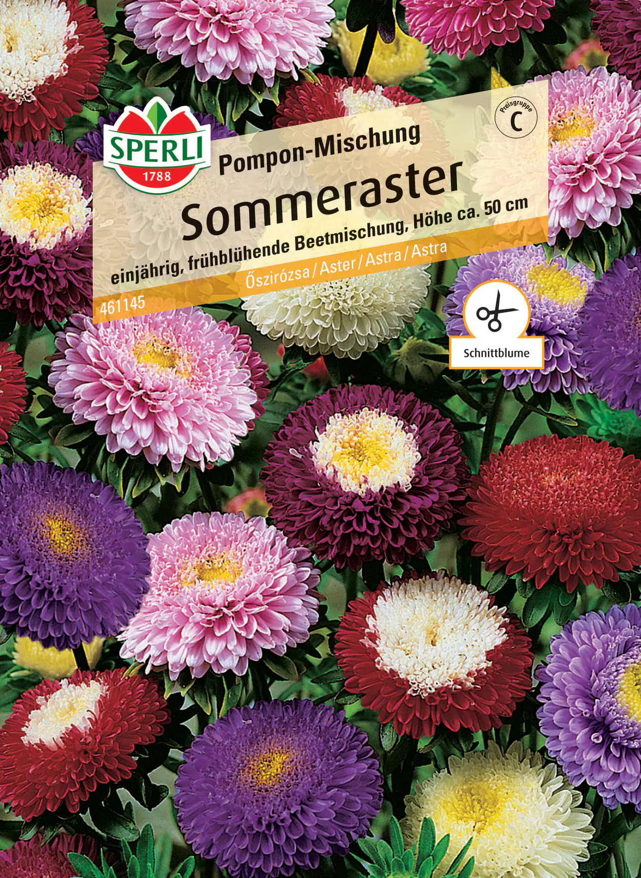 Sperli Sommeraster Pompon-Mischung