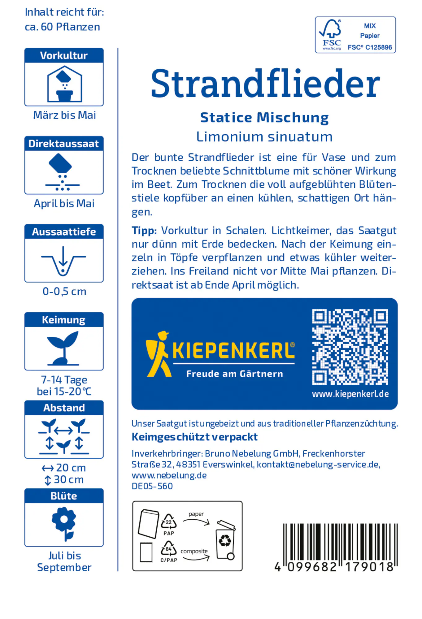 Kiepenkerl Blumensamen Strandflieder Statice Mischung für ca. 60 Pflanzen