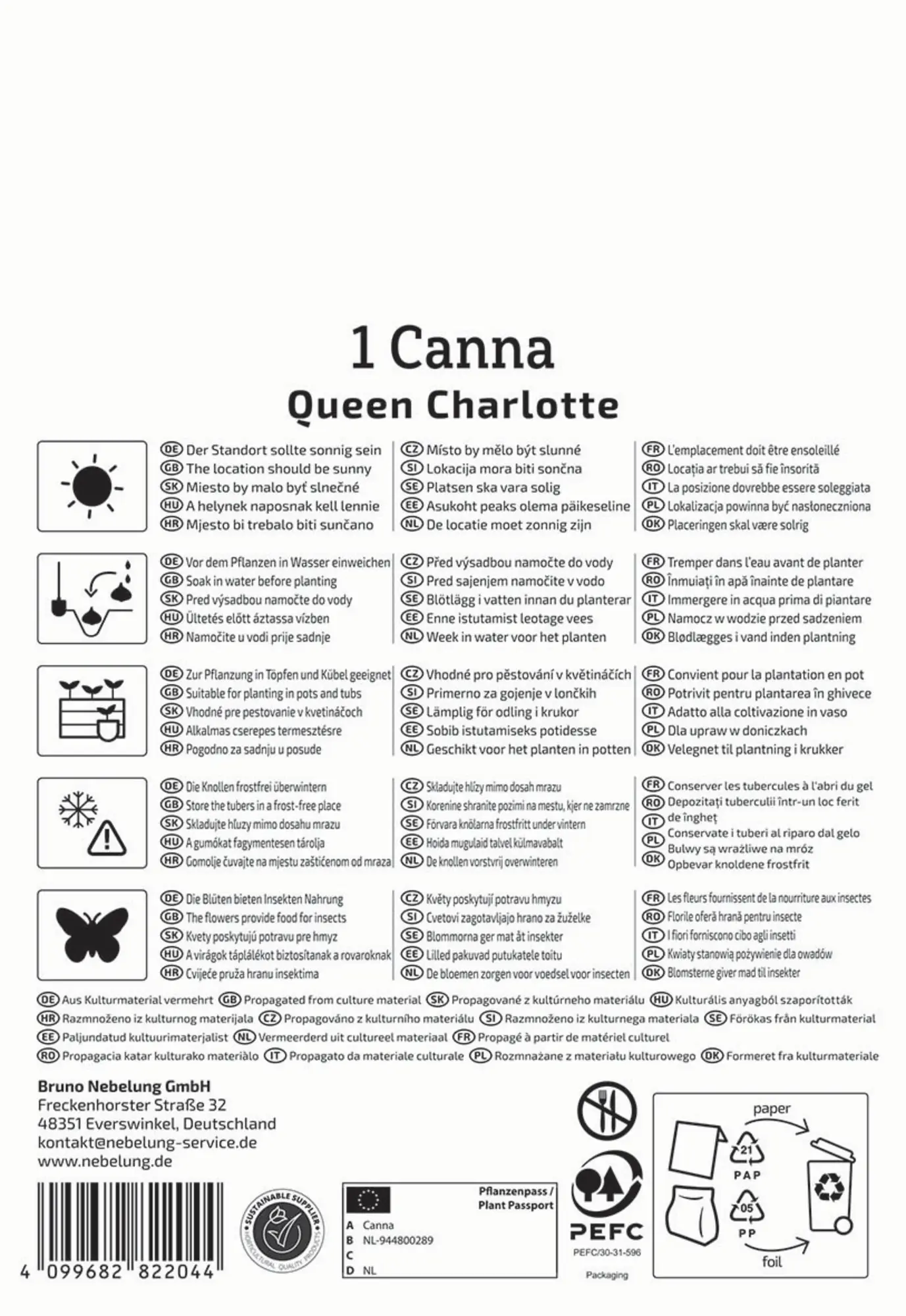 Kiepenkerl Frühjahrsblumenzwiebel Blumenrohr Queen Charlotte 1 Stück