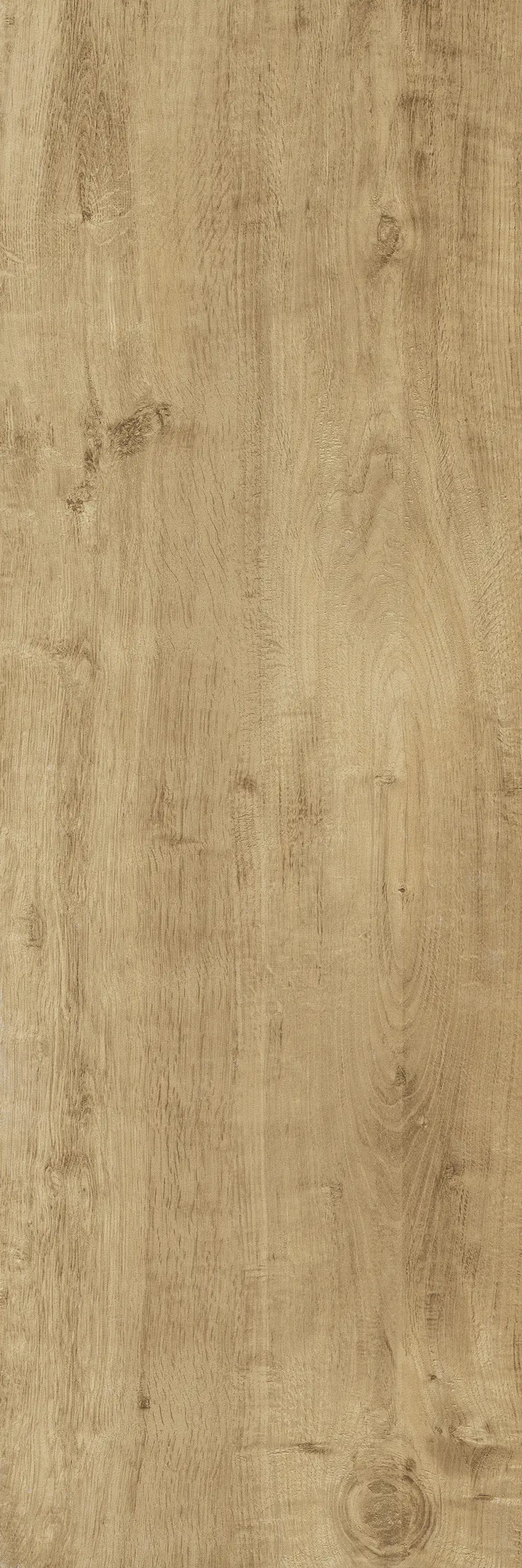 Terrassenplatte Feinsteinzeug TimberTwo 40 x 120 x 2 cm braun