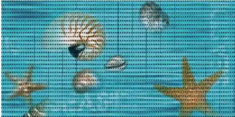 d-c-floor® Universalmatte Floor Comfort Seaside 50 x 80 cm, blau