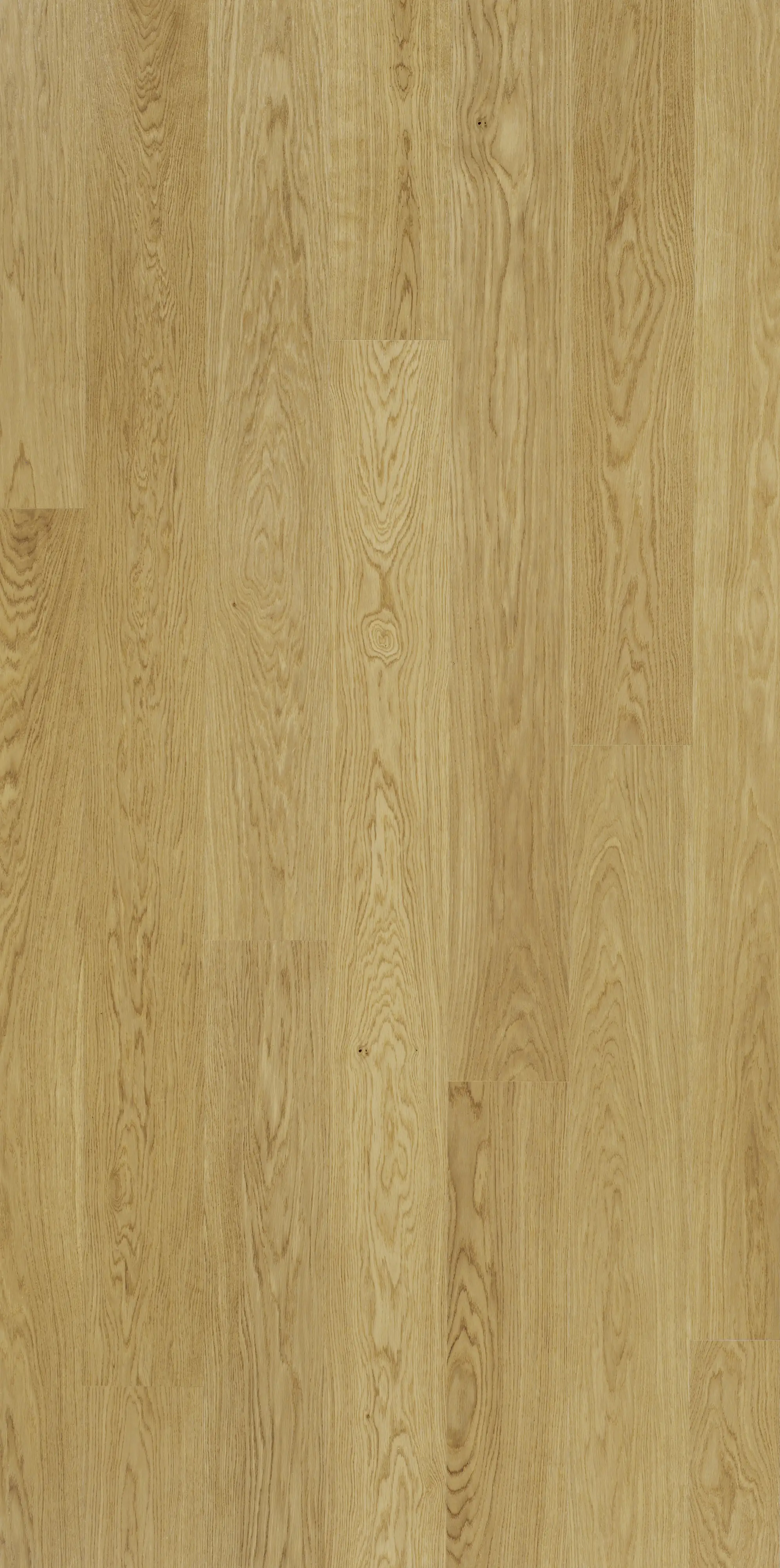 Parador Parkett Classic 3060 Select Eiche lackversiegelt matt