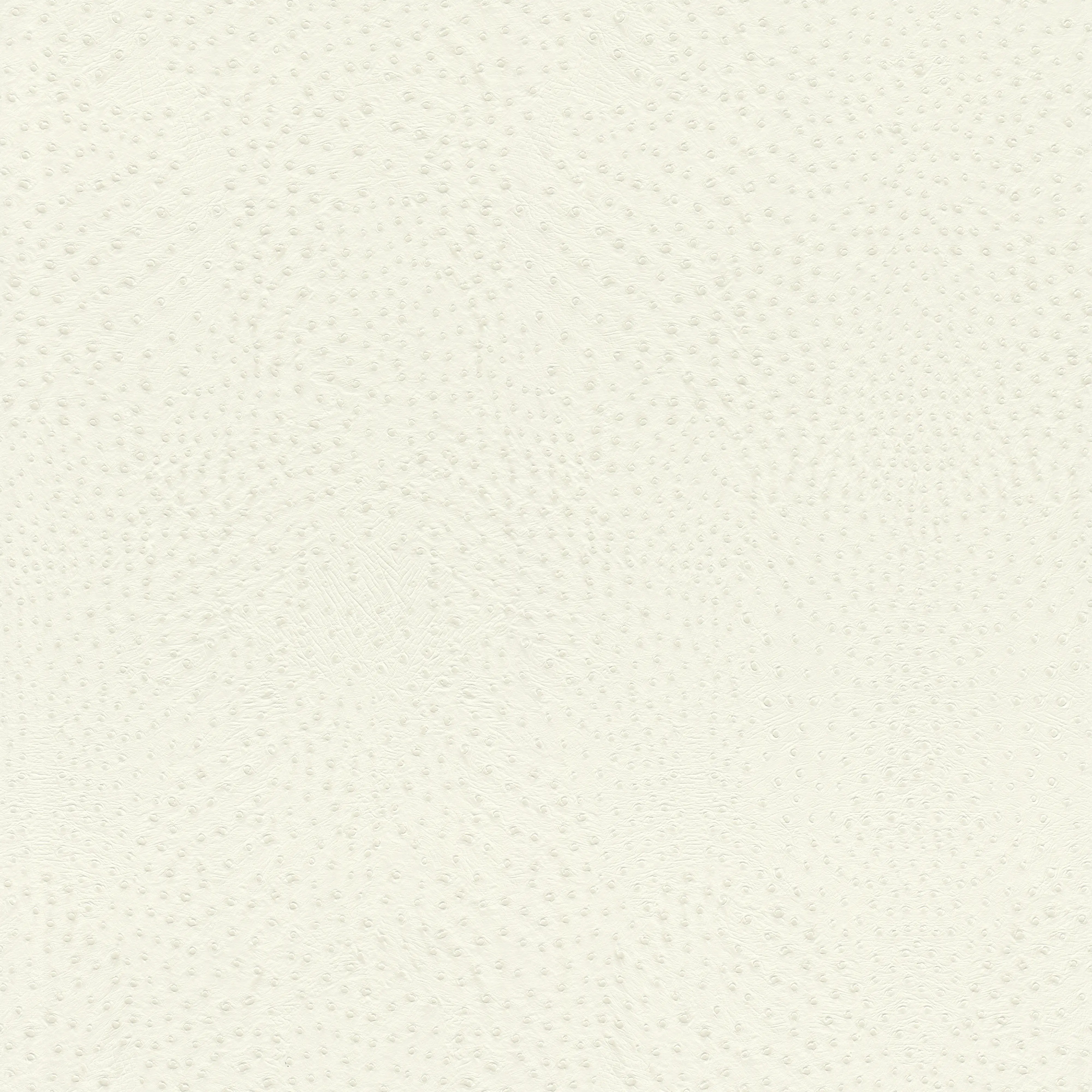Rasch Vliestapete 751536 Weiß-Cremeweiß Muster & Motive 10,05 m x 0,53 m