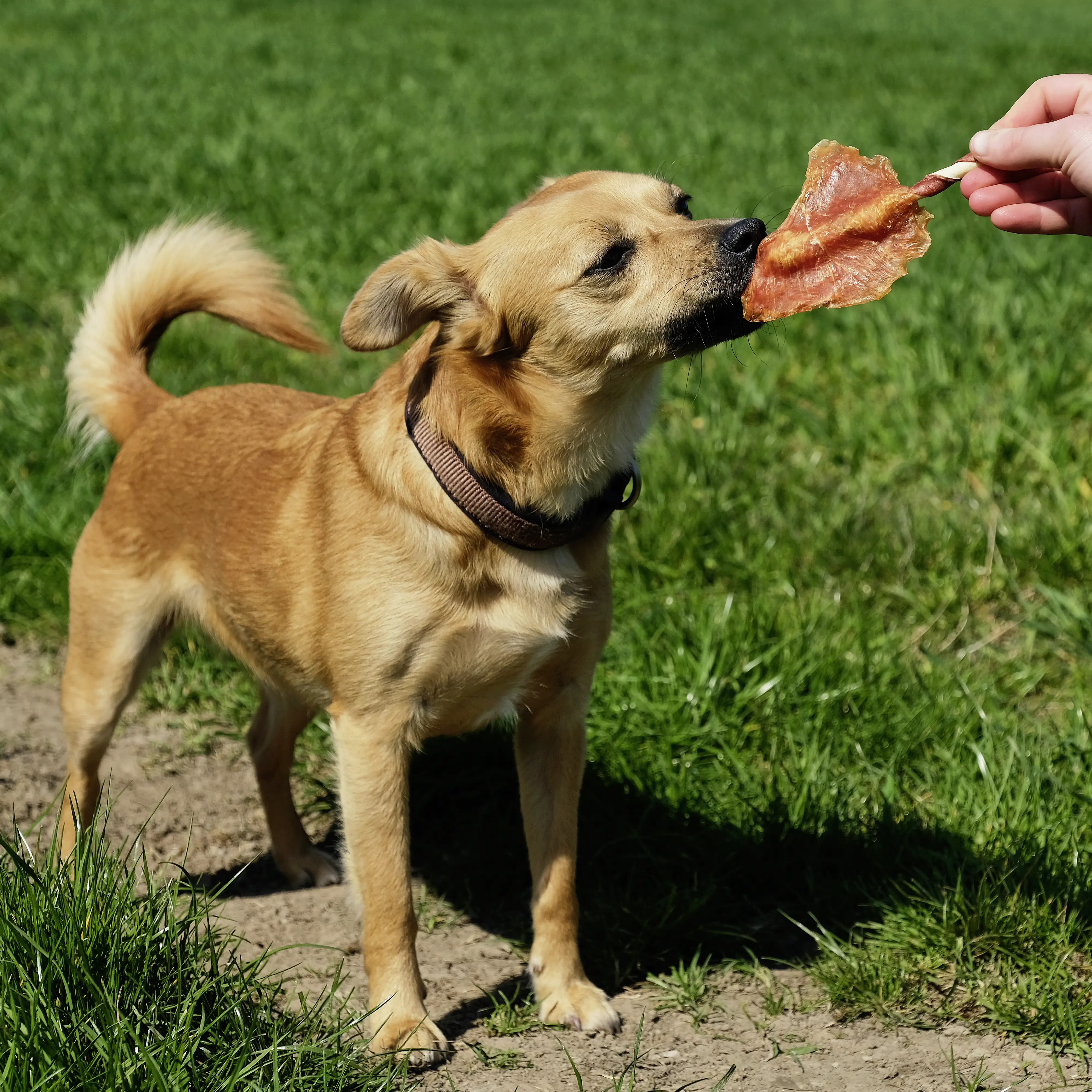 4048422144663_2590792 8in1 Flavours Kaustange Triple Flavour Wings 113 g