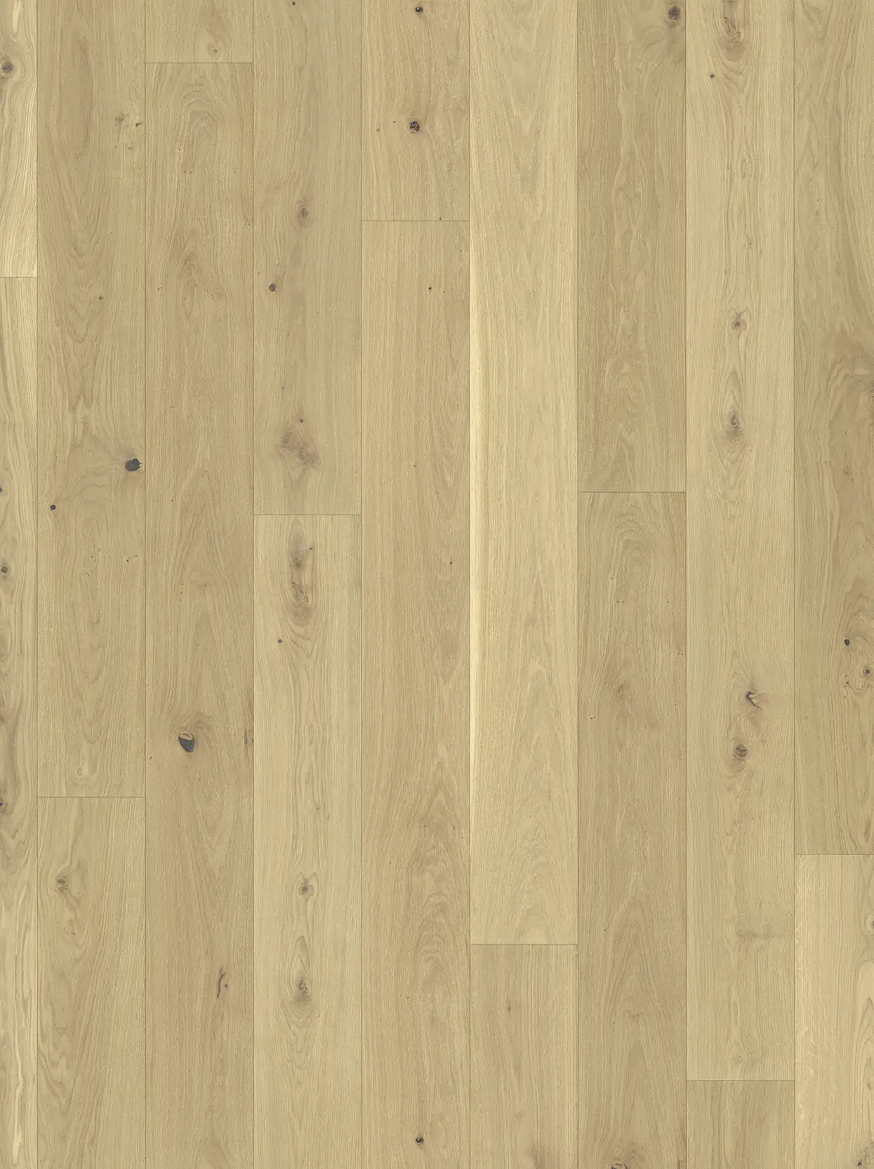 Parador Parkett Basic 11-5 Rustikal Eiche lackversiegelt matt weiß