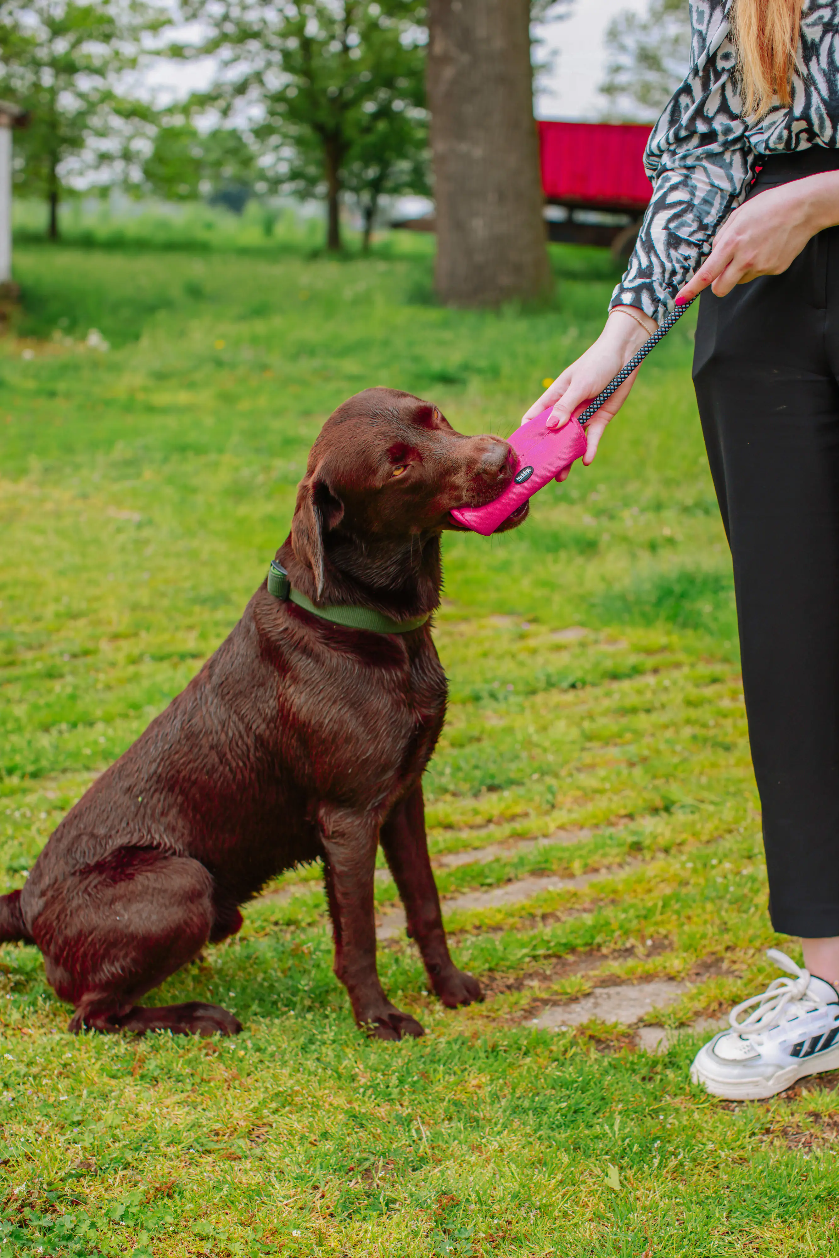 Nobby Snack Dummy RIO 15 x 6 cm himbeere Nobby Snack Dummy RIO 15 x 6 cm himbeere