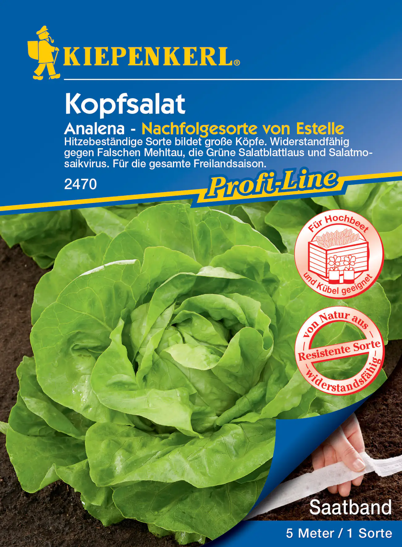 Kiepenkerl Kopfsalat Analena Saatband Kiepenkerl Kopfsalat Analena Saatband