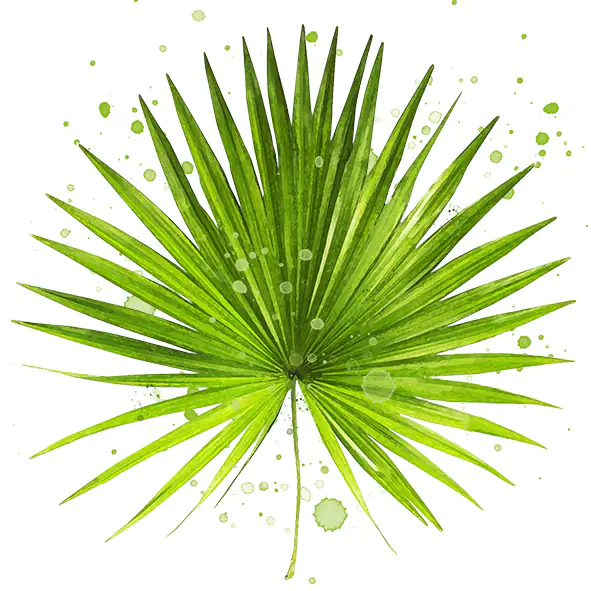 Braun & Company Servietten grün 33 x 33 cm - 20er Pack