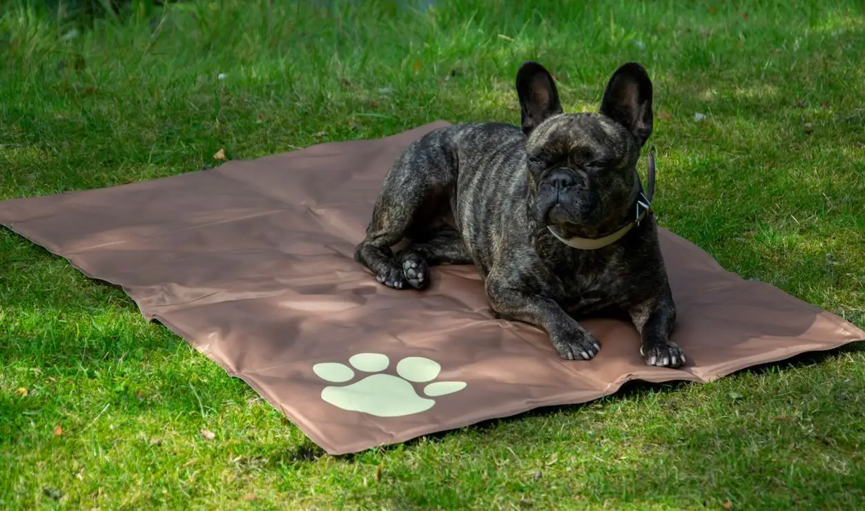 Dobar Kühlmatte mit Pfote eckig L 99,5 x B 70 cm braun/beige