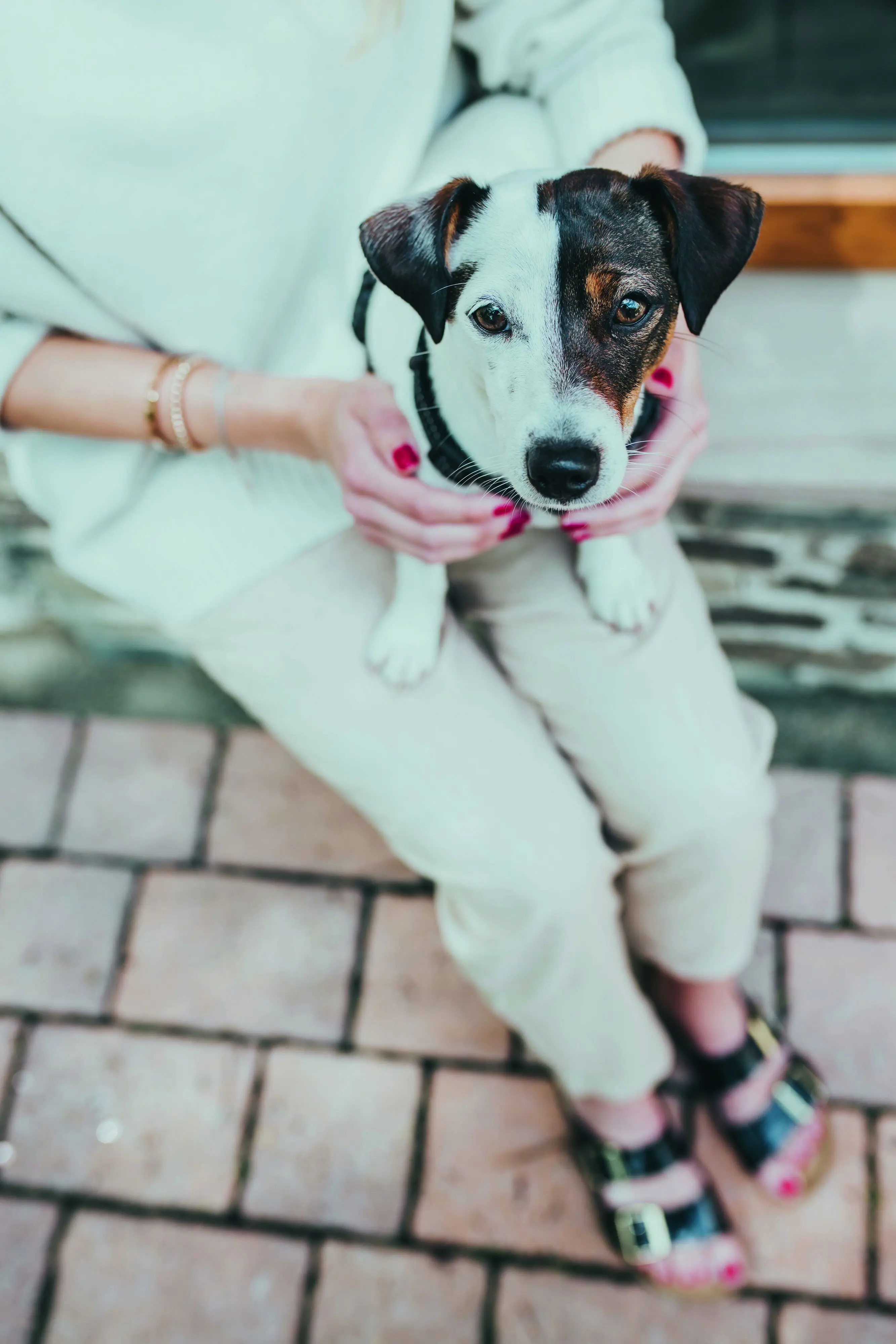 Hunter Hundegeschirr Tripoli S schwarz