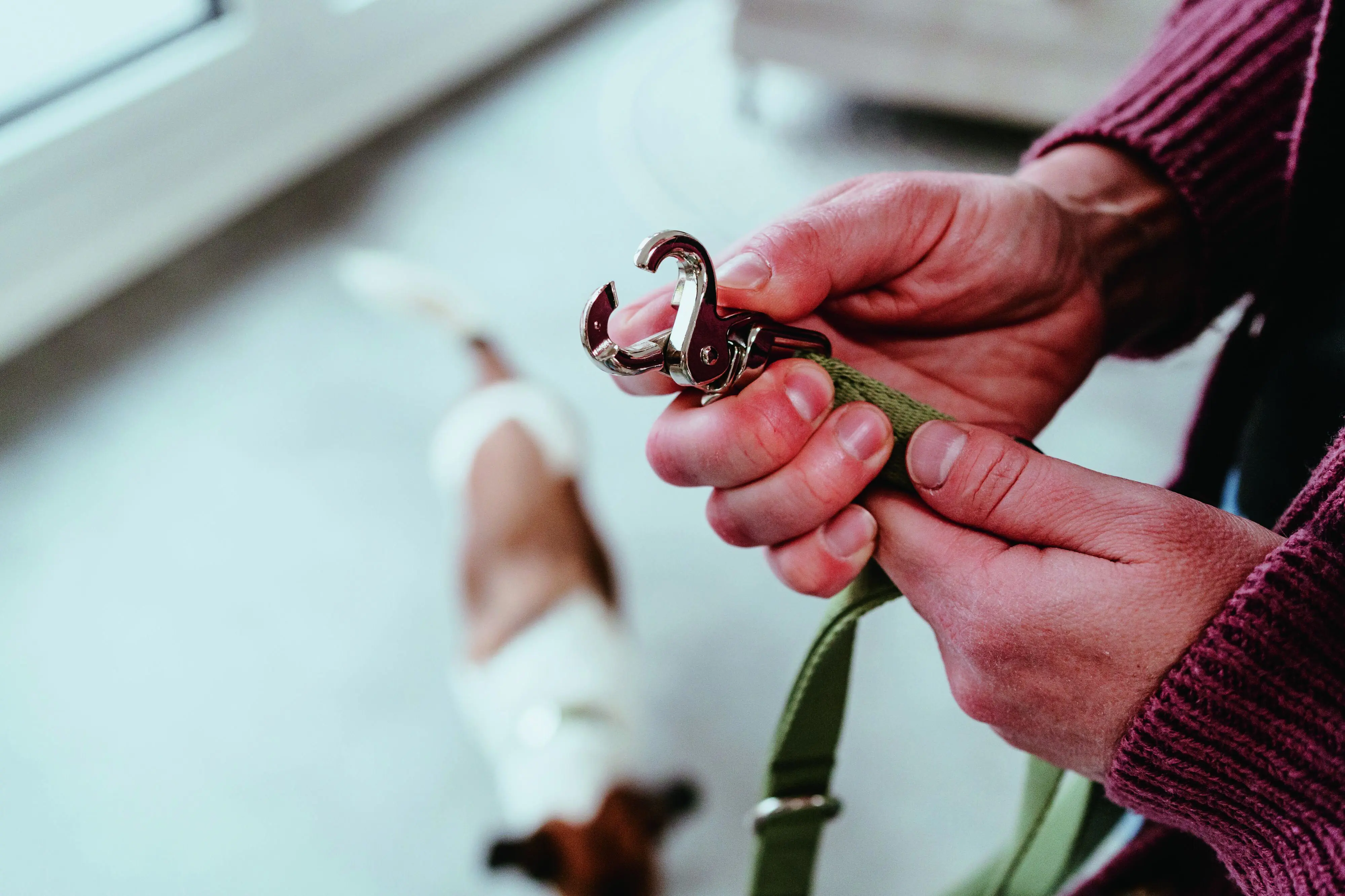 Hunter Hundeleine Führleine verstellbar Inari 2 m x 2 cm lindgrün