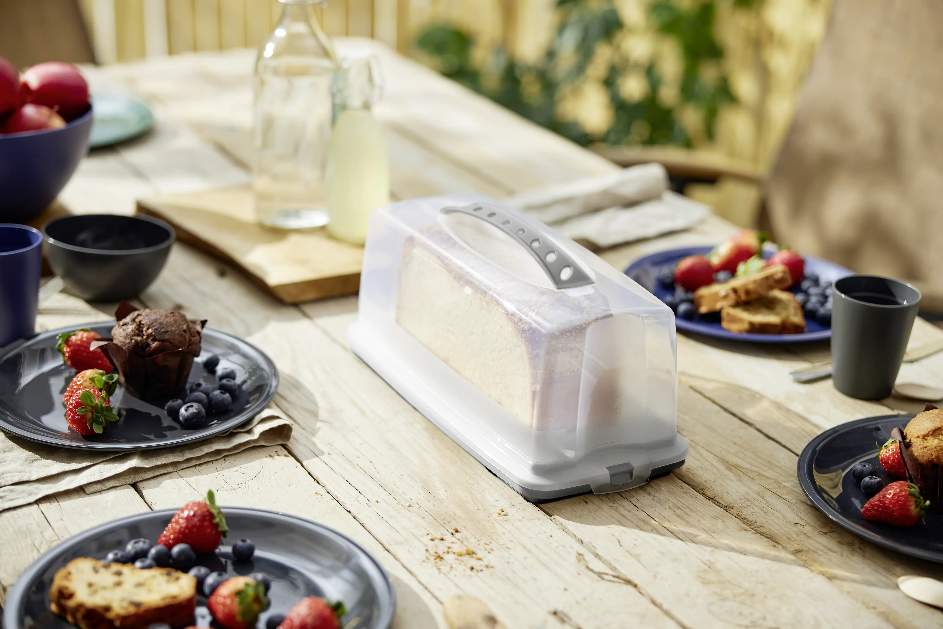 Rotho Kuchenbehälter Fresh 36 x 17 cm holzkohle schwarz 