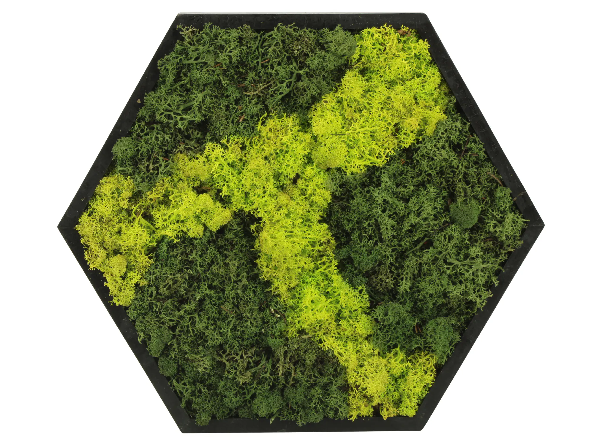 Moosbild hexagonal 38 cm mit echtem Moos