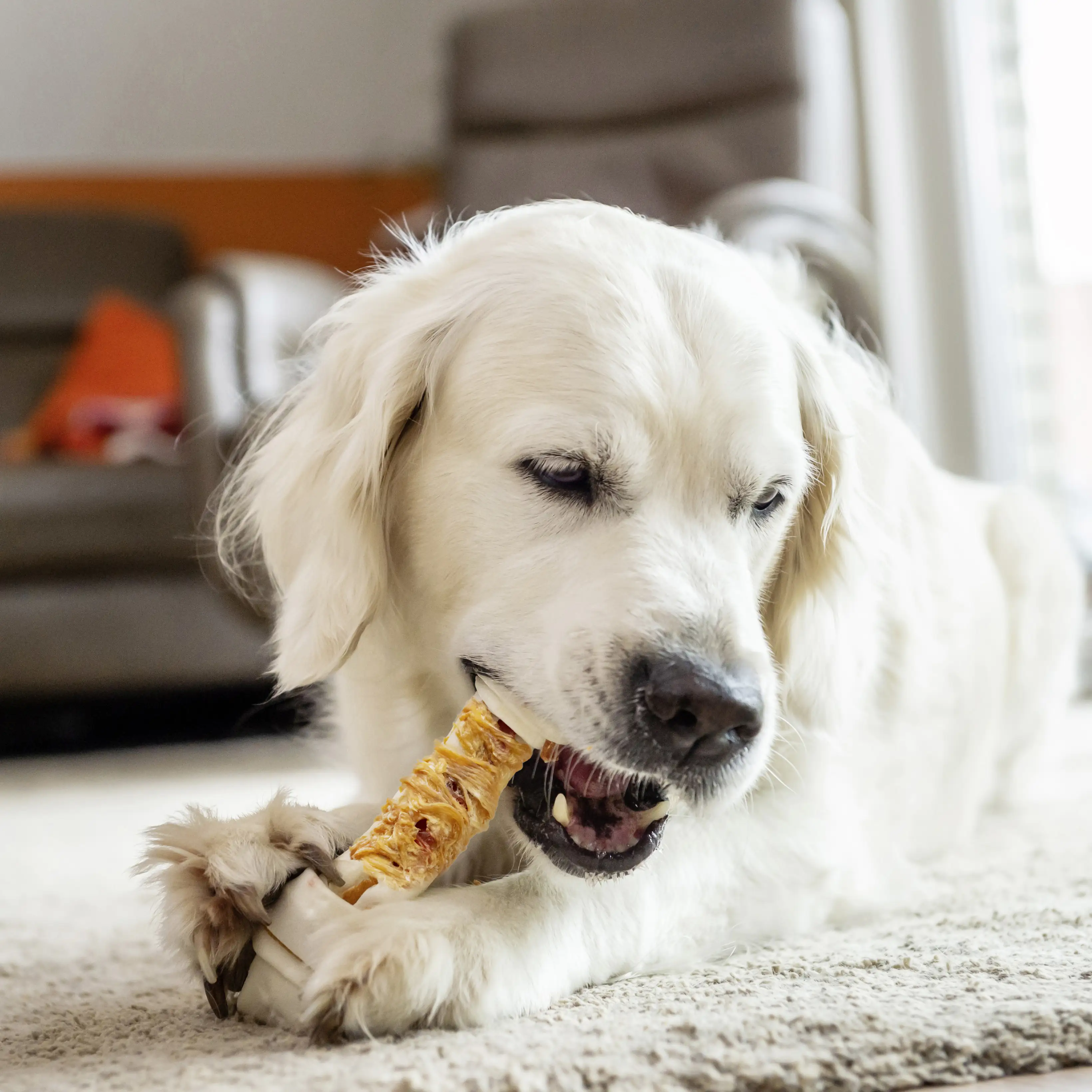 8in1 Flavours Kauknochen Triple Flavour L