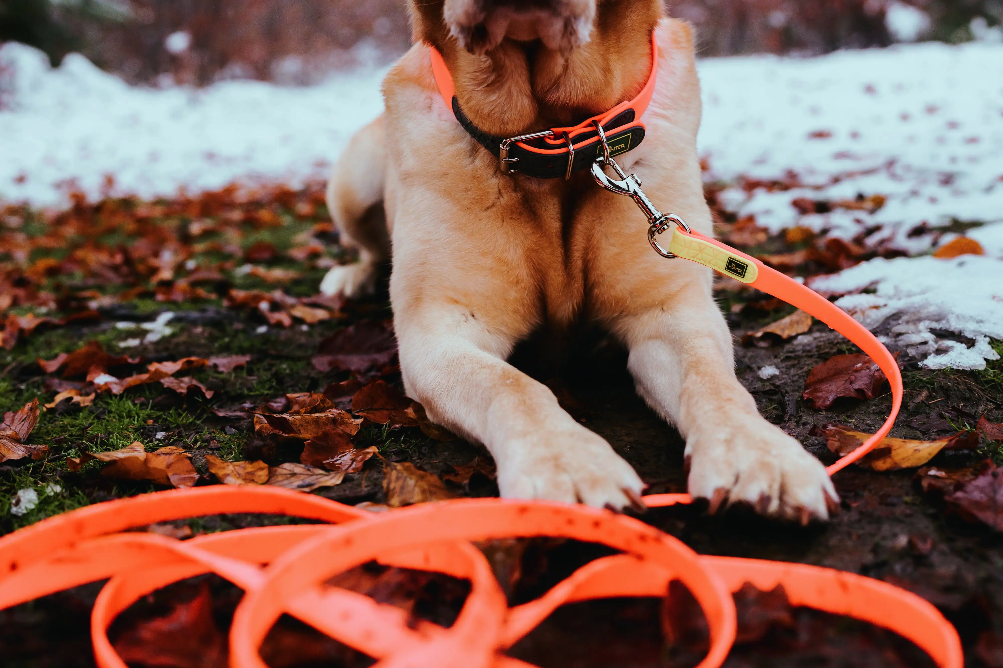 Hunter Schleppleine Hund Convenience 5 m x 2 cm neonorange