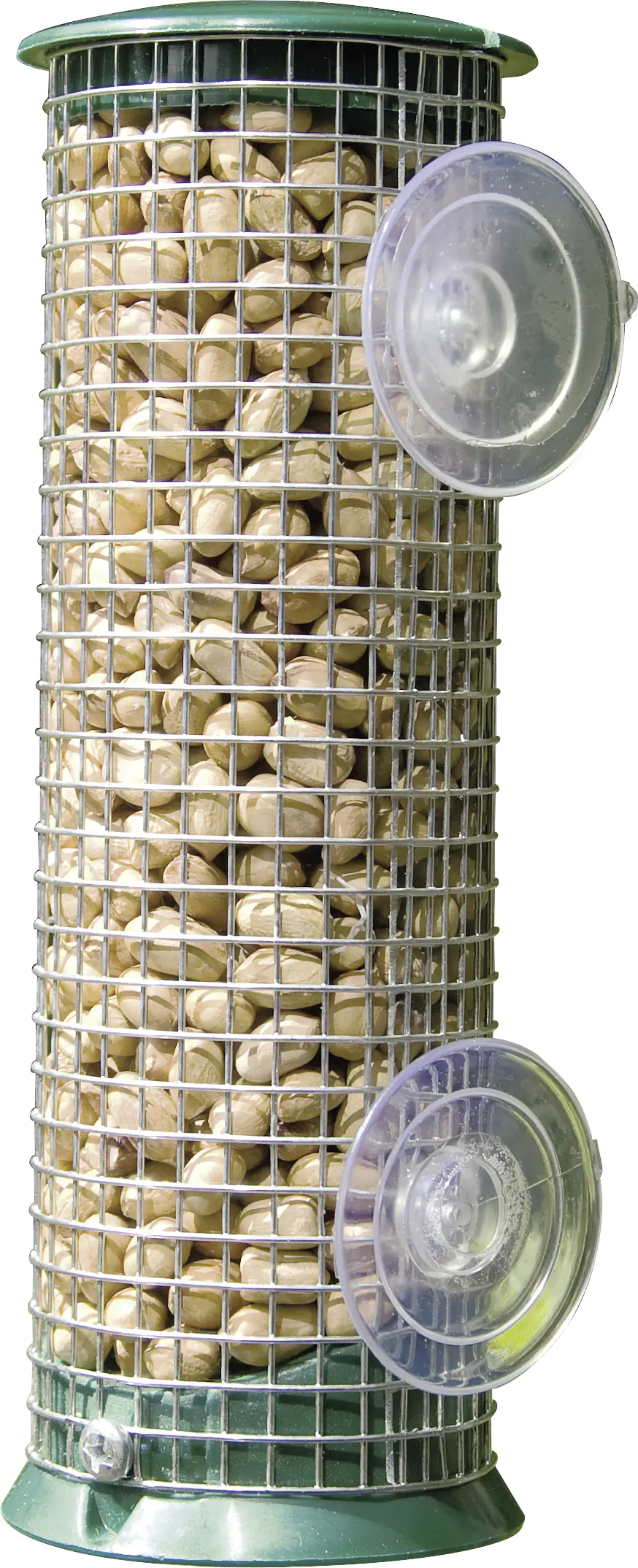 5051054154992 Fenster Erdnusssäule Discovery grün Ø 7, Höhe 21 cm