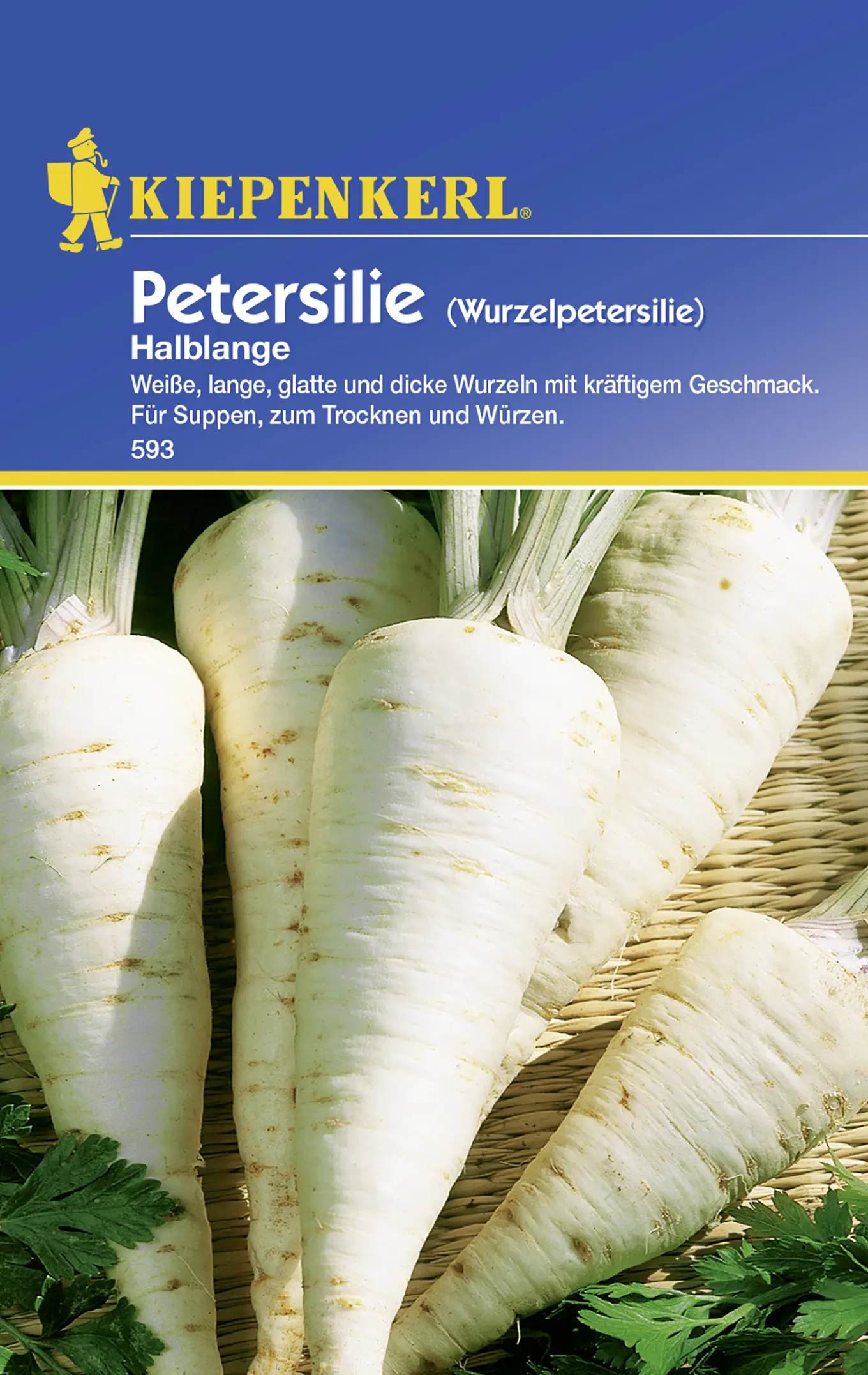 Kiepenkerl Wurzelpetersilie Halblange Petroselinum crisp. subspezies, Inhalt: ca. 350 Pflanzen