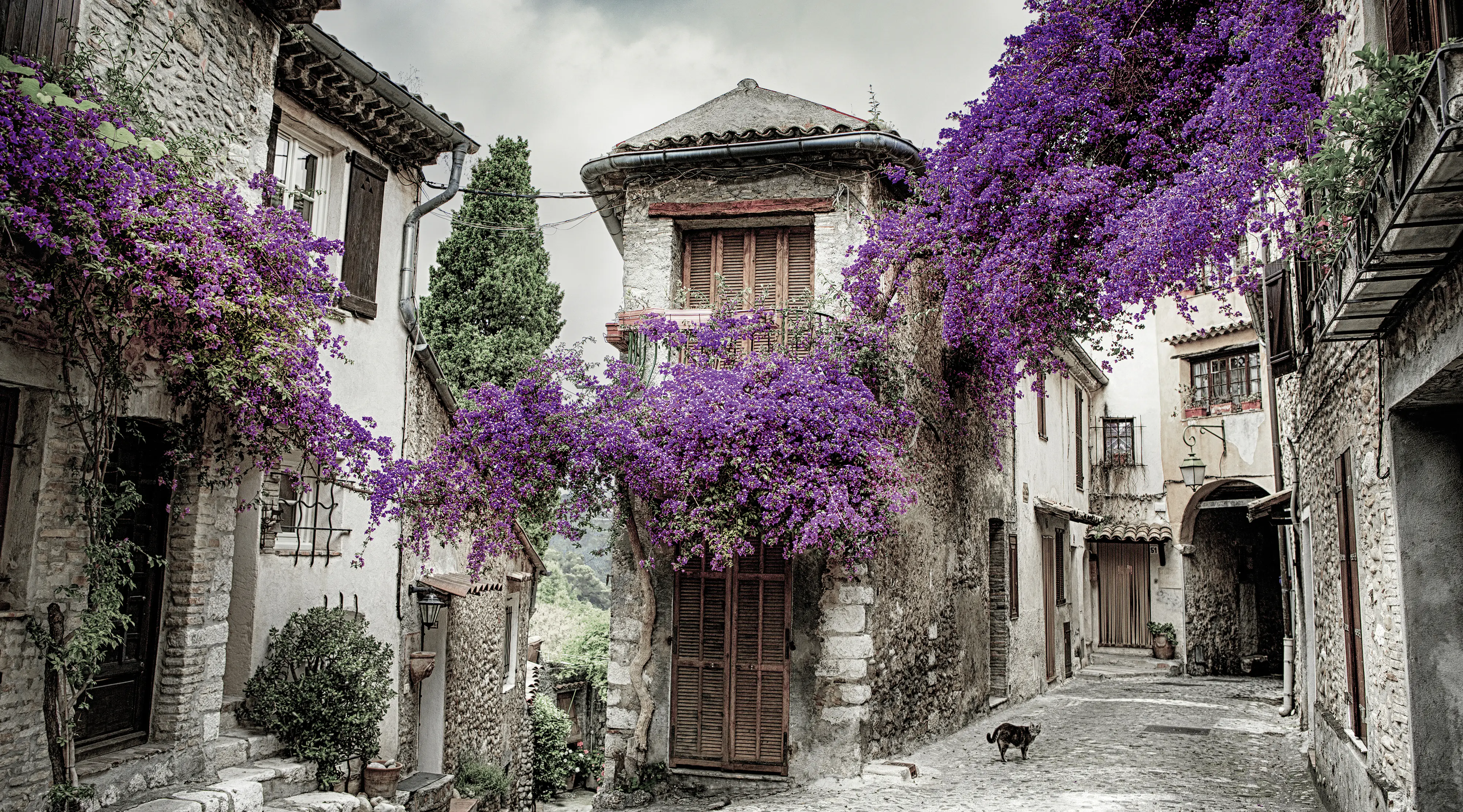 Keilrahmenbild rosa Altstadt 180 x 100 cm