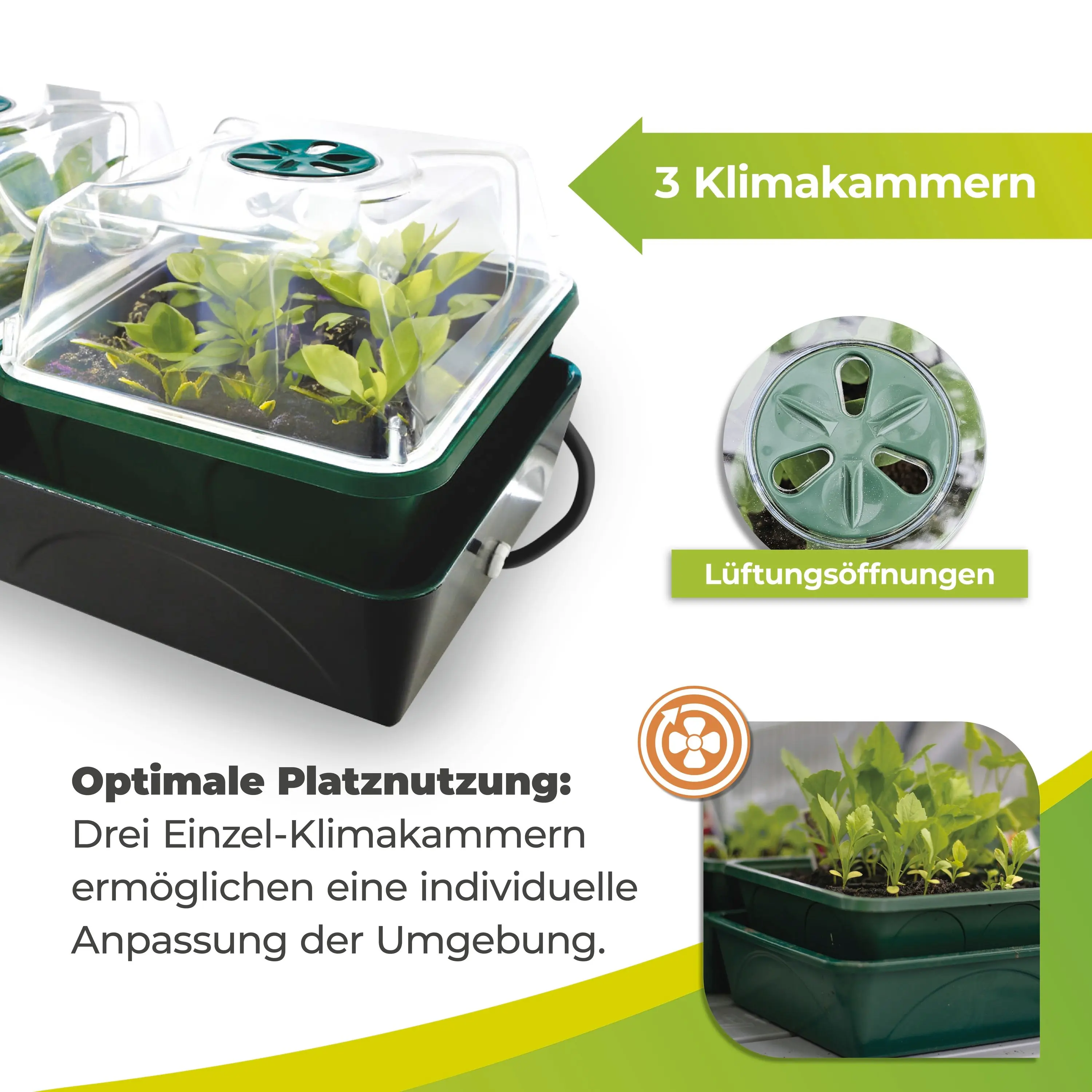 BioGreen Anzuchtstation Hollandia grün/schwarz 54 x 21 cm mit 3 Klimakammern beheizbar