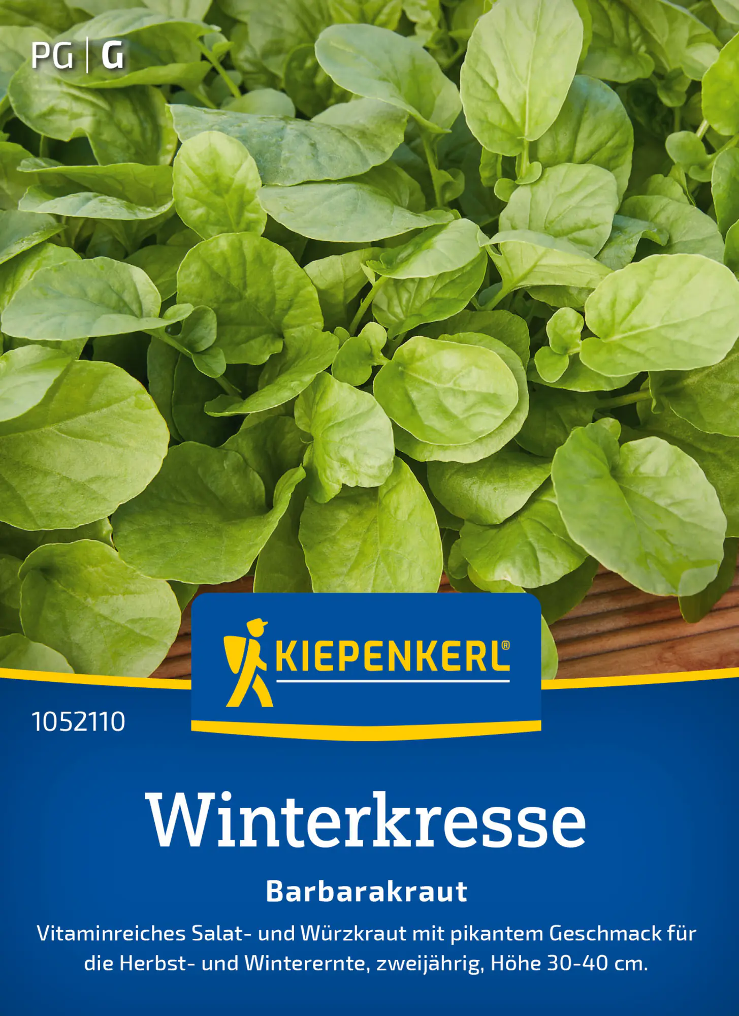 Kiepenkerl Saatgut Winterkresse Barbarakraut für ca. 500 Pflanzen