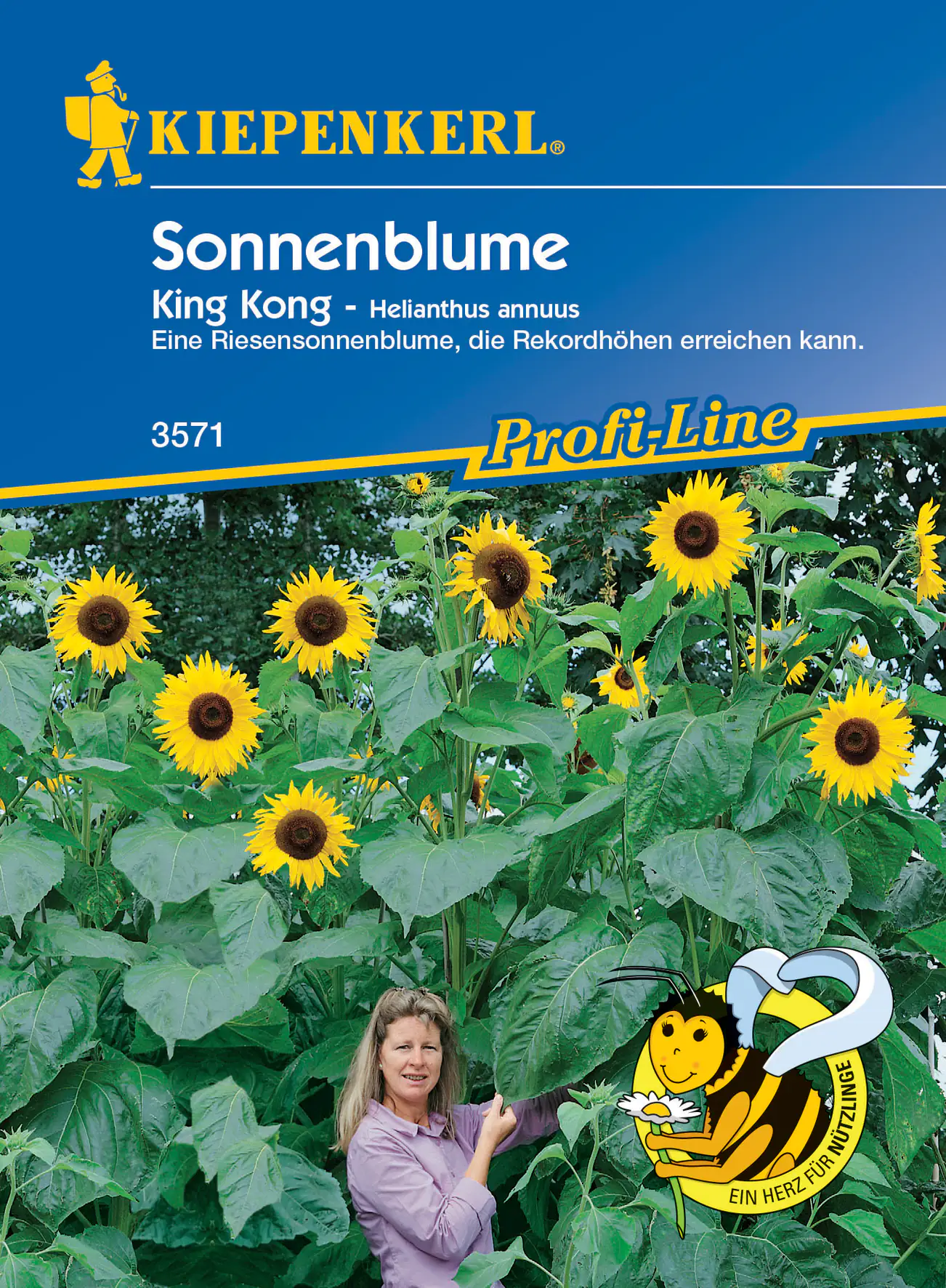 Kiepenkerl Sonnenblume King Kong