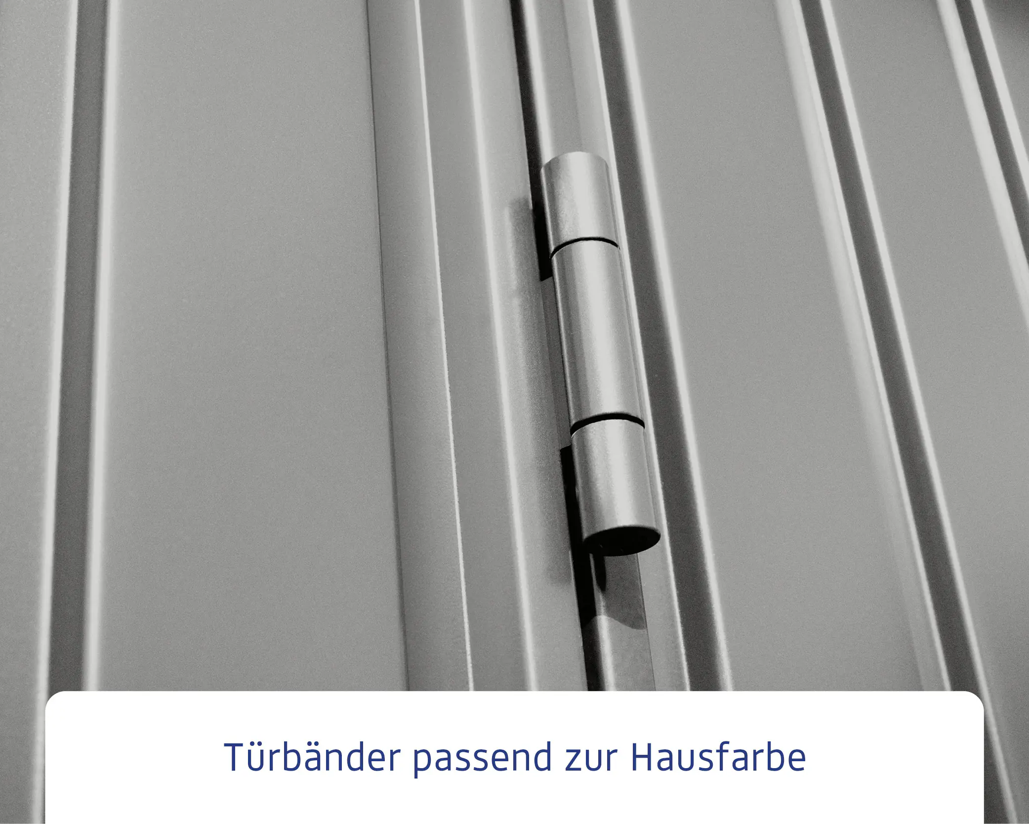 EcoStar Gerätehaus Trend-P Typ 1 247,9 x 153 x 228,6 cm graualuminium