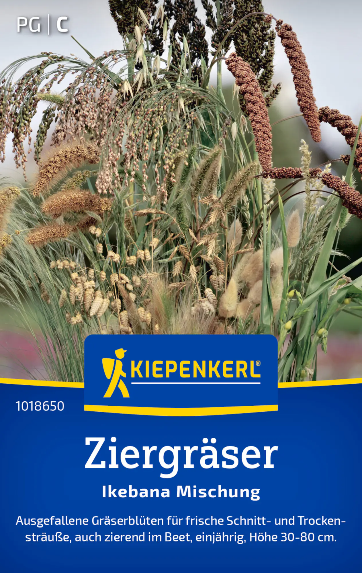 Kiepenkerl Blumensamen Ziergräser Ikebana Mischung für ca. 1 - 2 m²