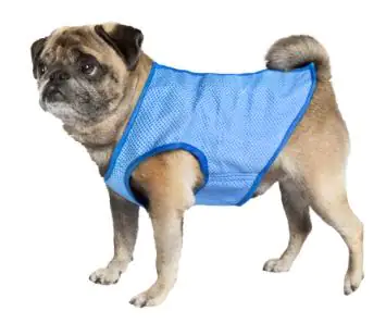 4033766622205_1 Nobby Kühlweste für Hunde