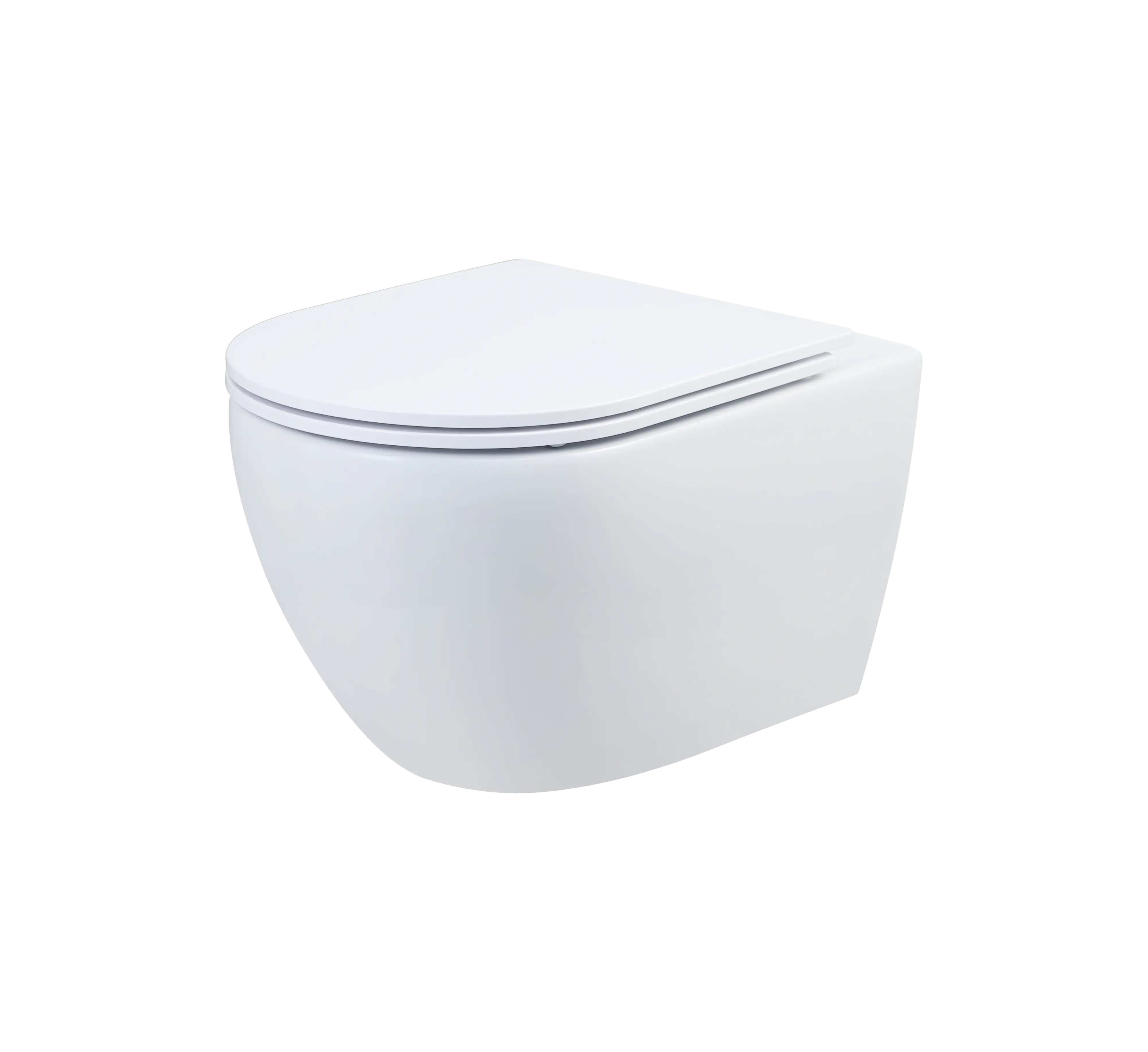 Primaster Wand WC spülrandlos Cerma Tiefspüler weiß inkl. WC Sitz 