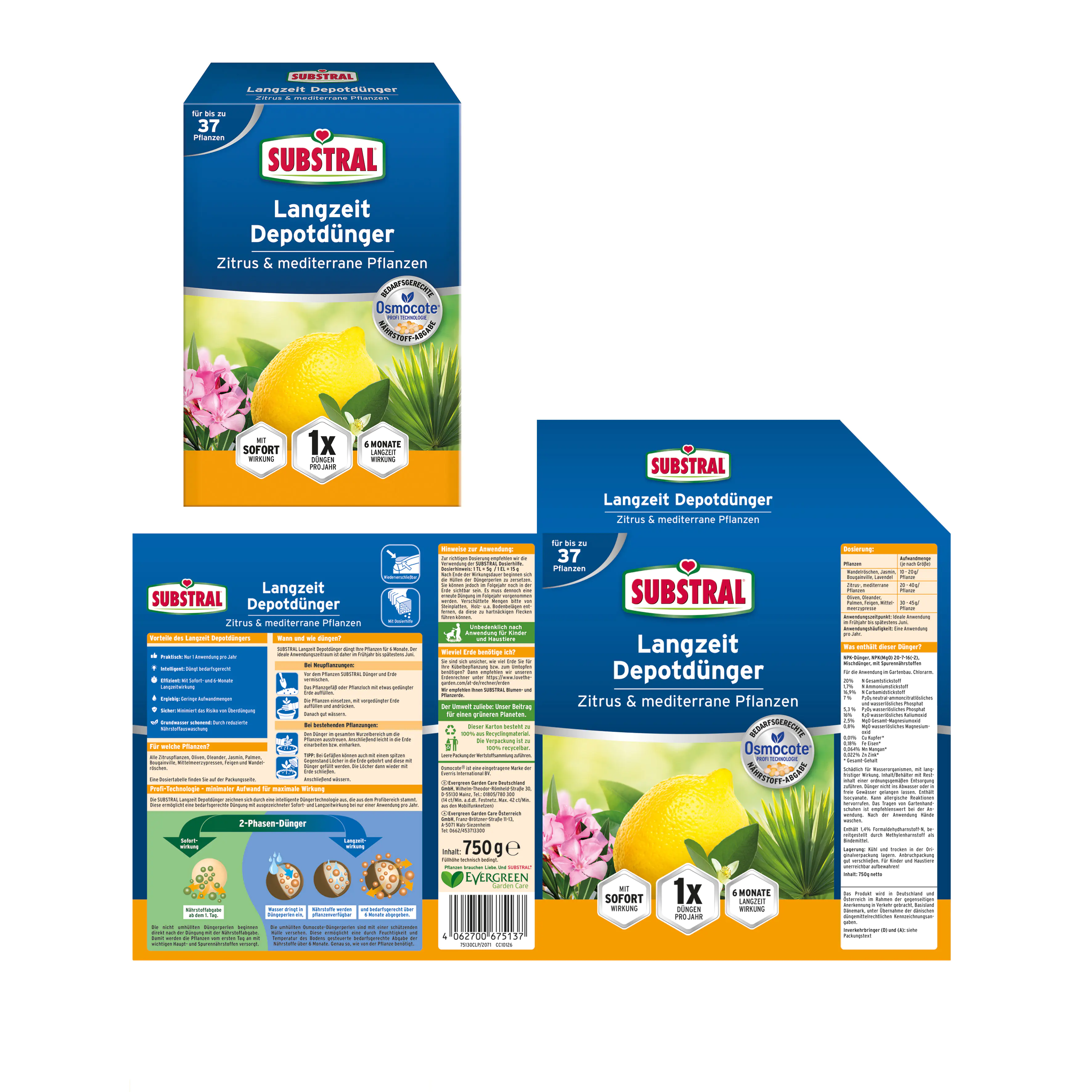 Substral Langzeit Depotdünger Zitrus & mediterrane Pflanzen 750 g