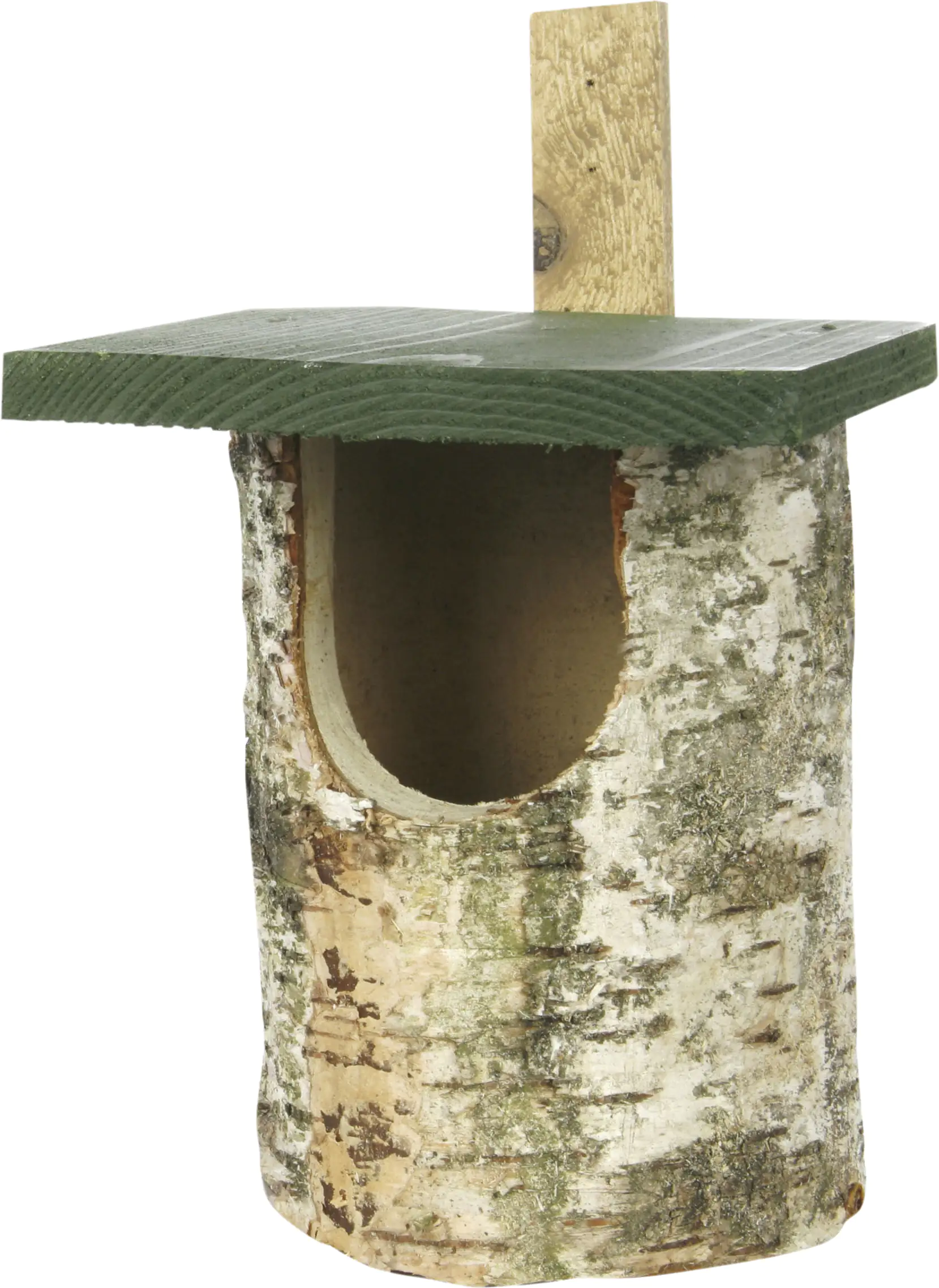 CJ Wildlife Nisthöhle Birkenholz natur/grün LxBxH: 18x22x30 cm CJ Wildlife Nisthöhle Birkenholz natur/grün LxBxH: 18x22x30 cm