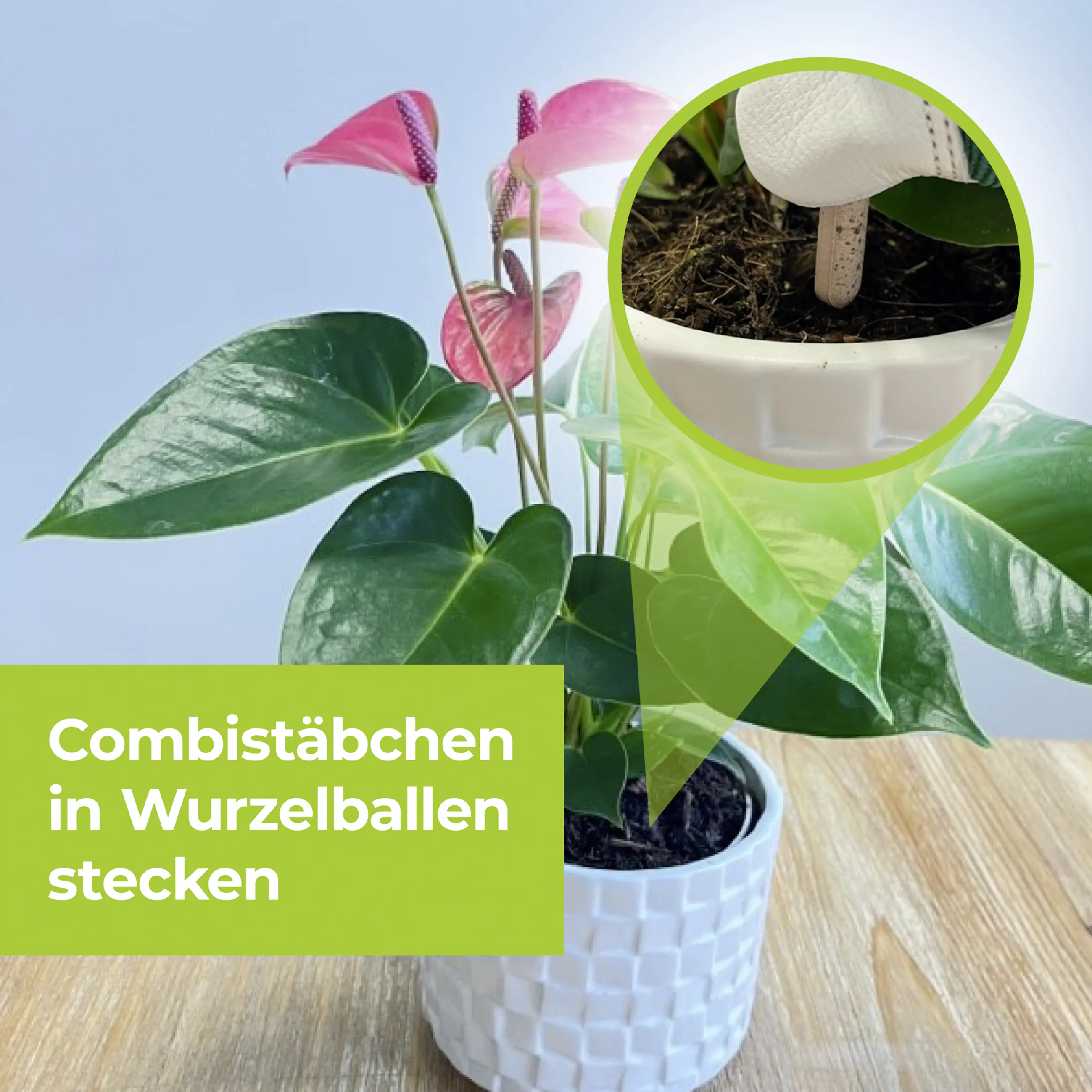 Protect Garden Lizetan Plus Combistäbchen 20 Stück Protect Garden Lizetan Plus Combistäbchen 20 Stück