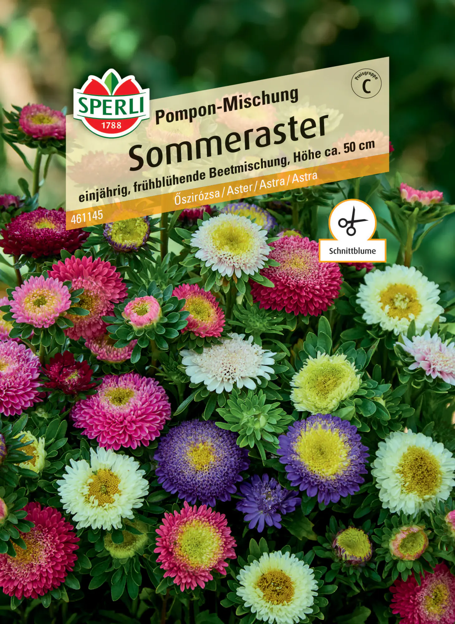 Sperli Sommeraster Pompon-Mischung
