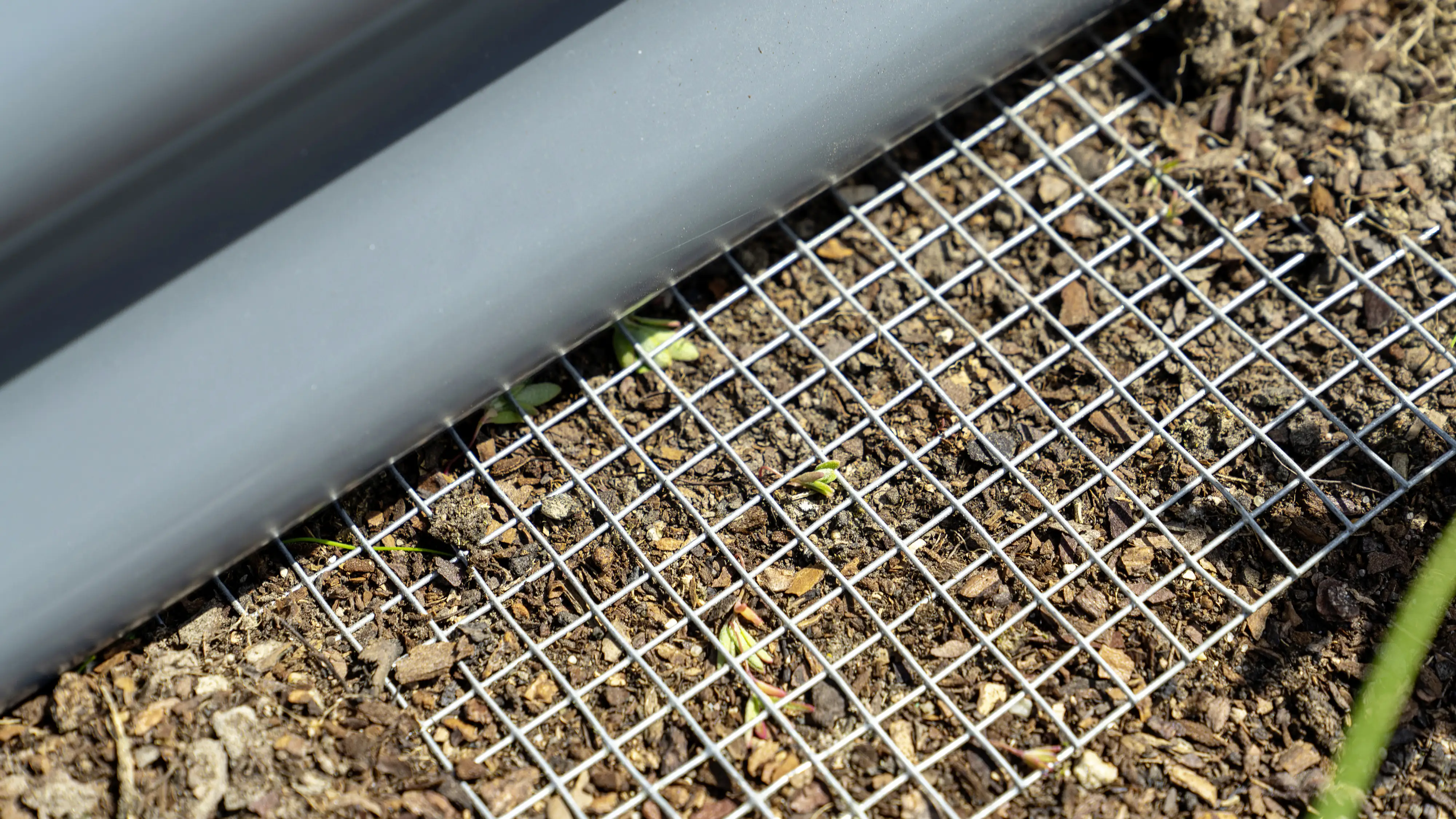 5703774319464 Pergart Mäusegitter Draneo 100 x 100 cm