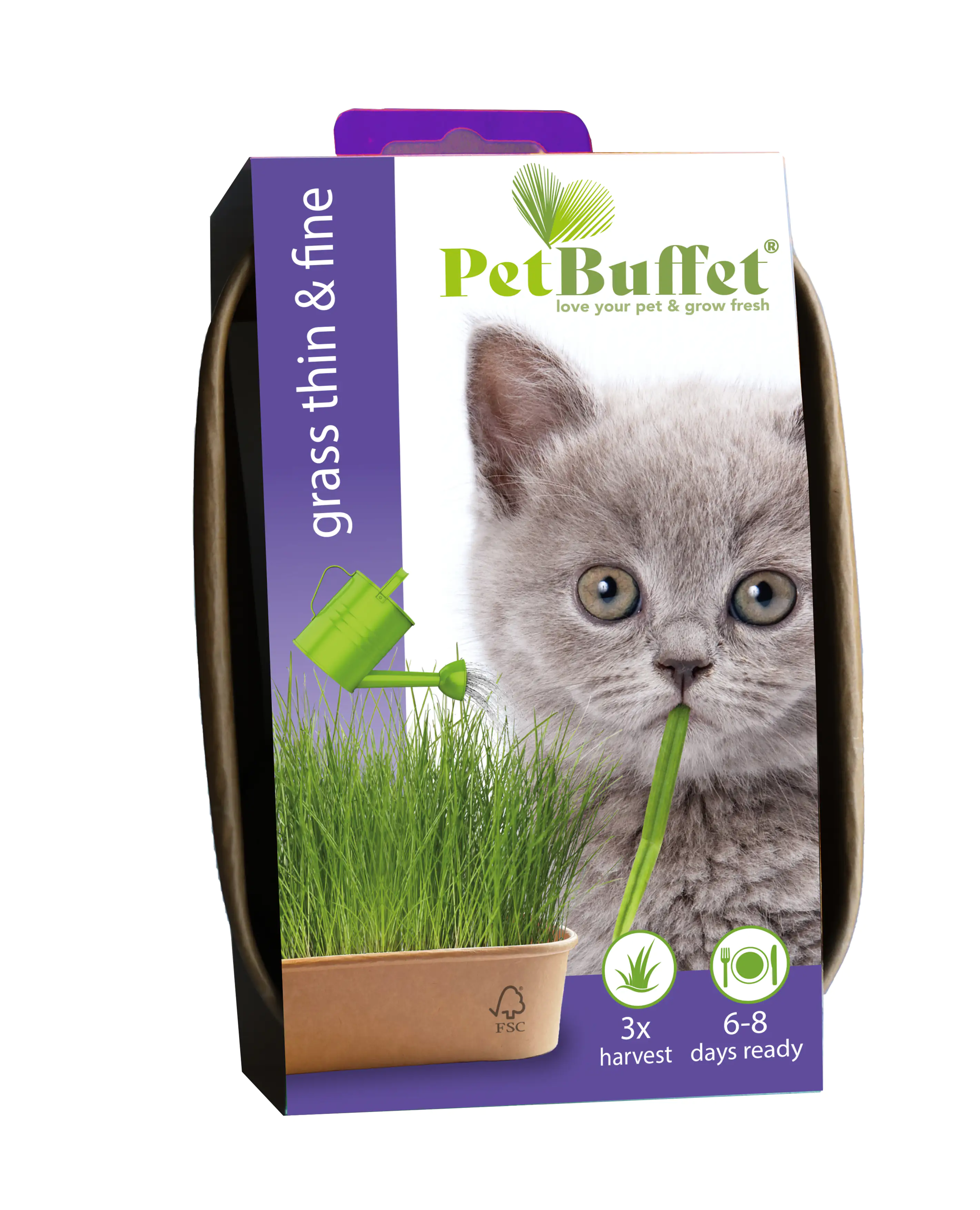 Baza Seeds Pet Buffet Gras Thin & Fine für Kätzchen