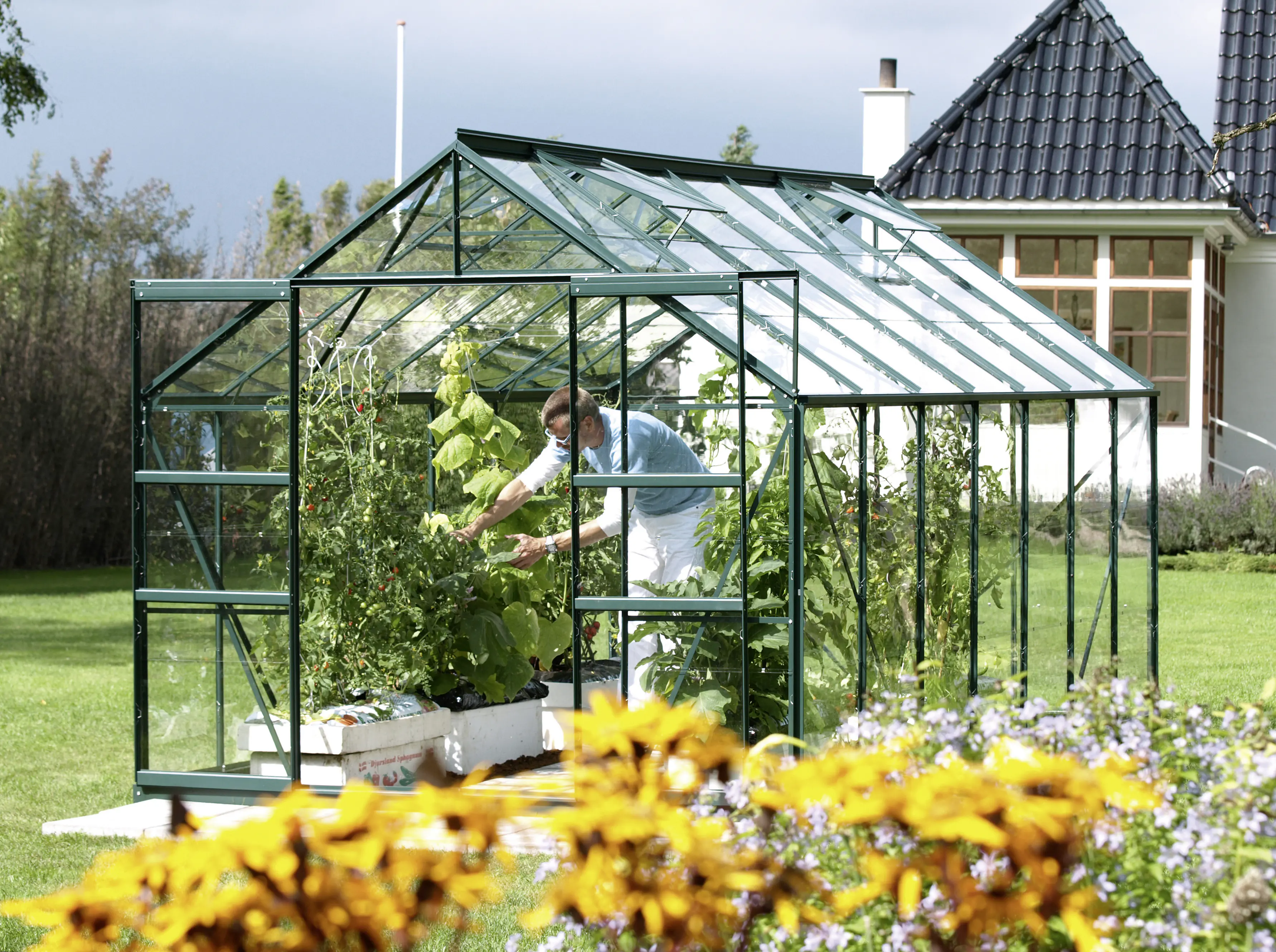 Vitavia Gewächshaus Mars 11500 445 x 257 cm 3 mm Sicherheitsglas