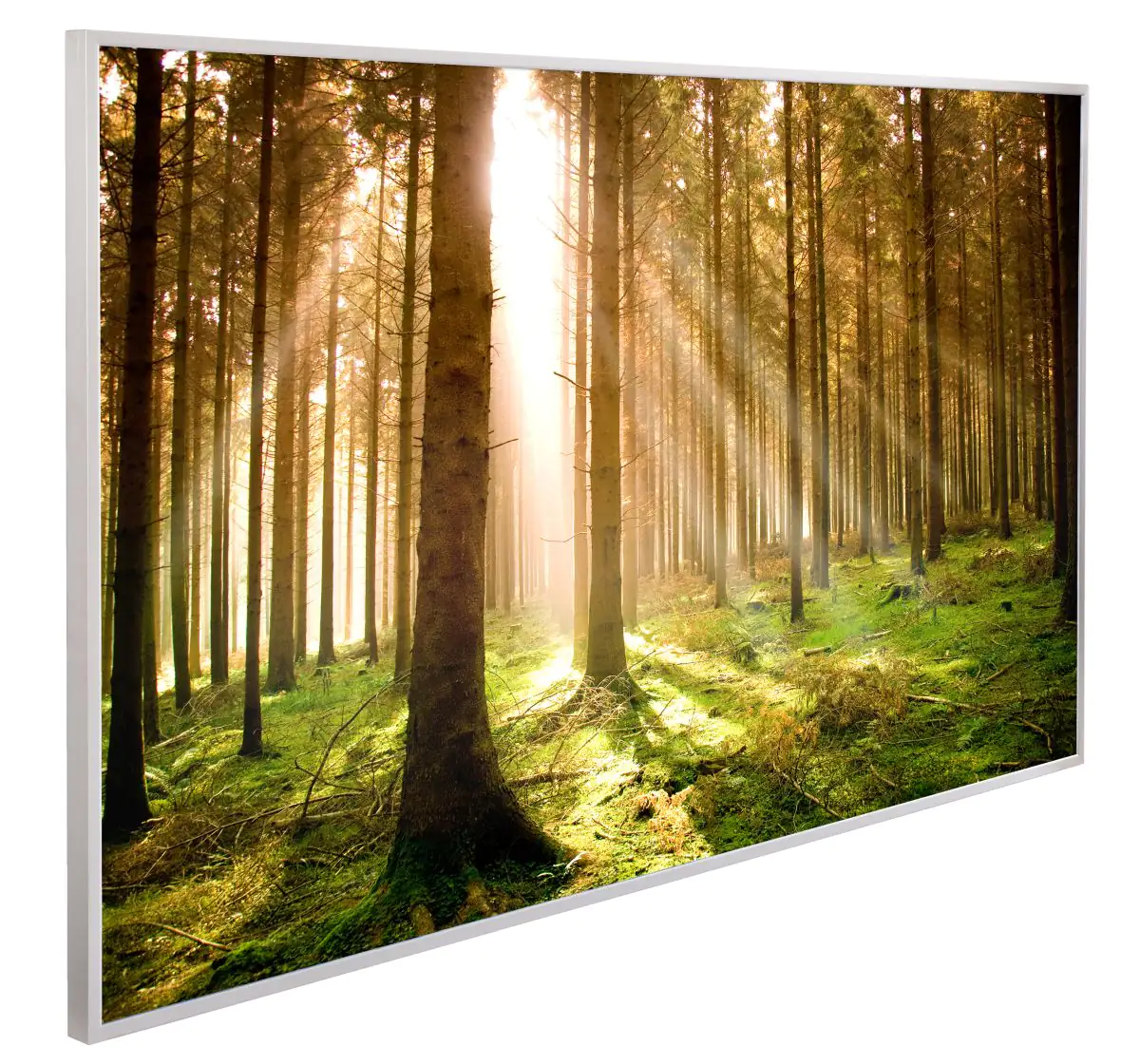 papermoon Infrarotheizkörper EcoHeat 60X100 cm 600 Watt, Pine Forest