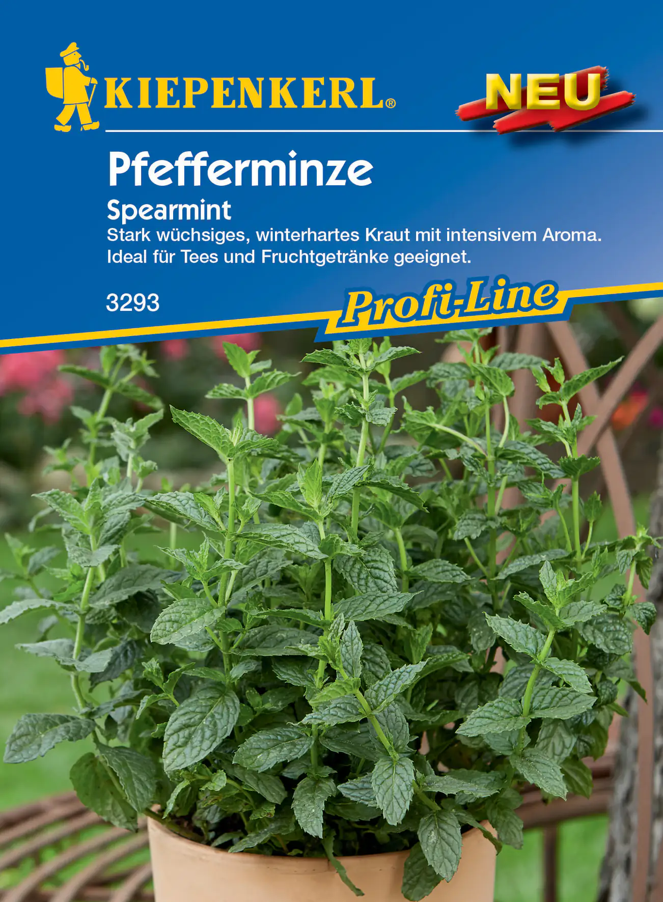 Kiepenkerl Pfefferminze Spearmint
