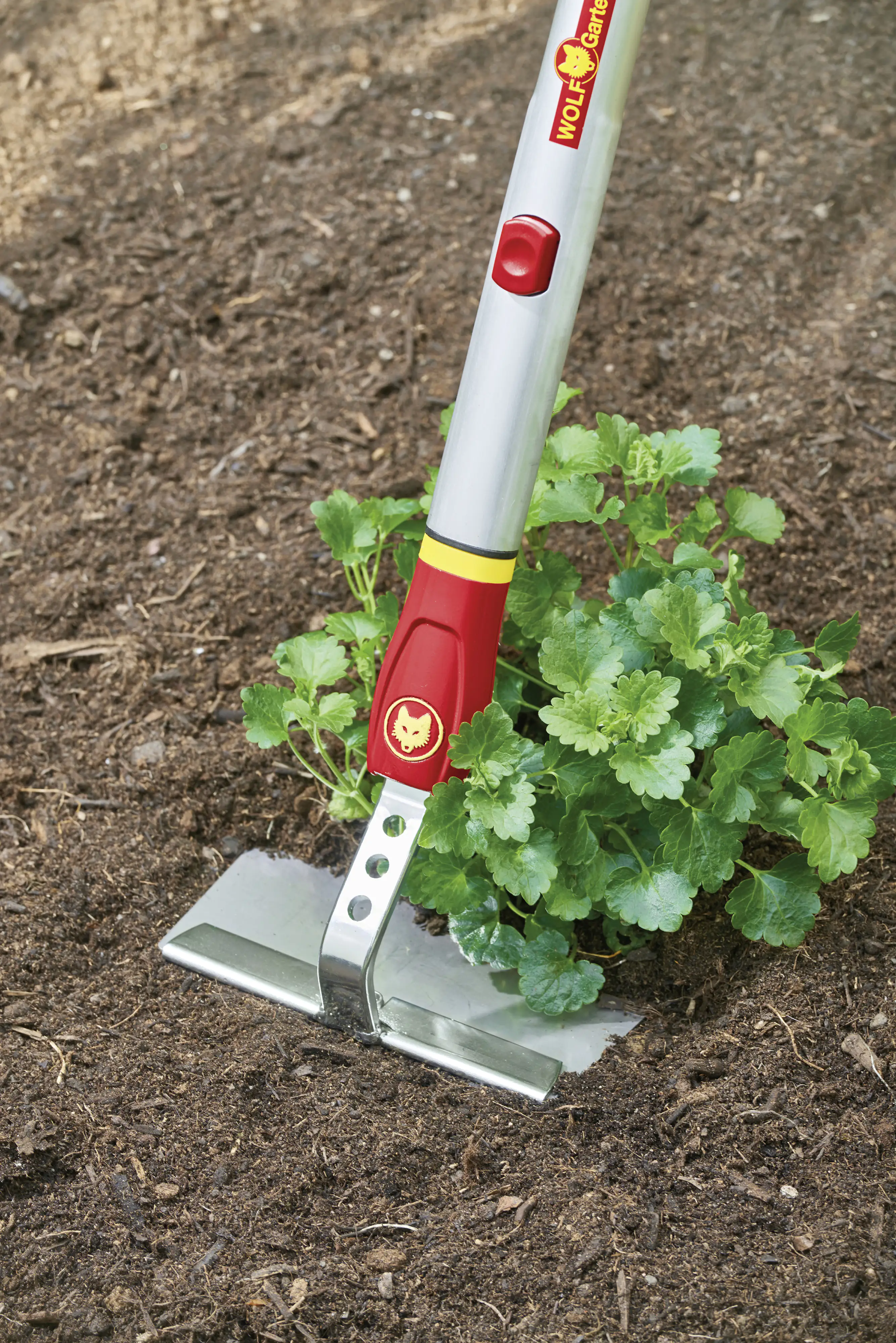 Wolf Garten Hacke HW-M 15 Multi-Star, 15 cm Arbeitsbreite Wolf Garten Hacke HW-M 15 Multi-Star, 15 cm Arbeitsbreite